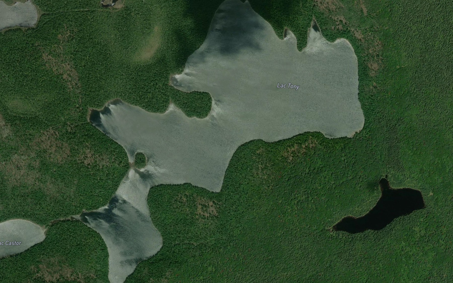 Satellite map of the Lac Tony