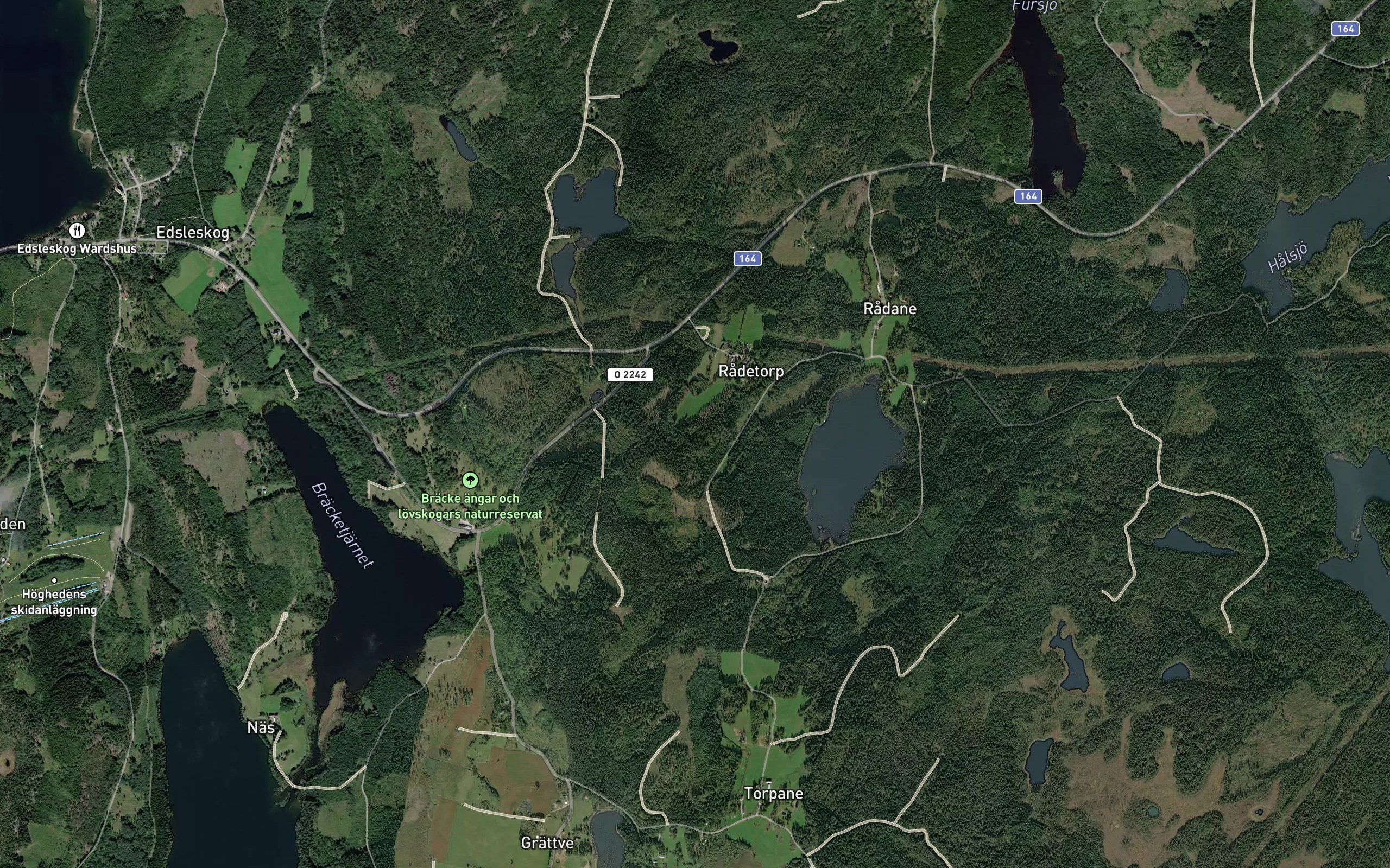 Radanetjarn