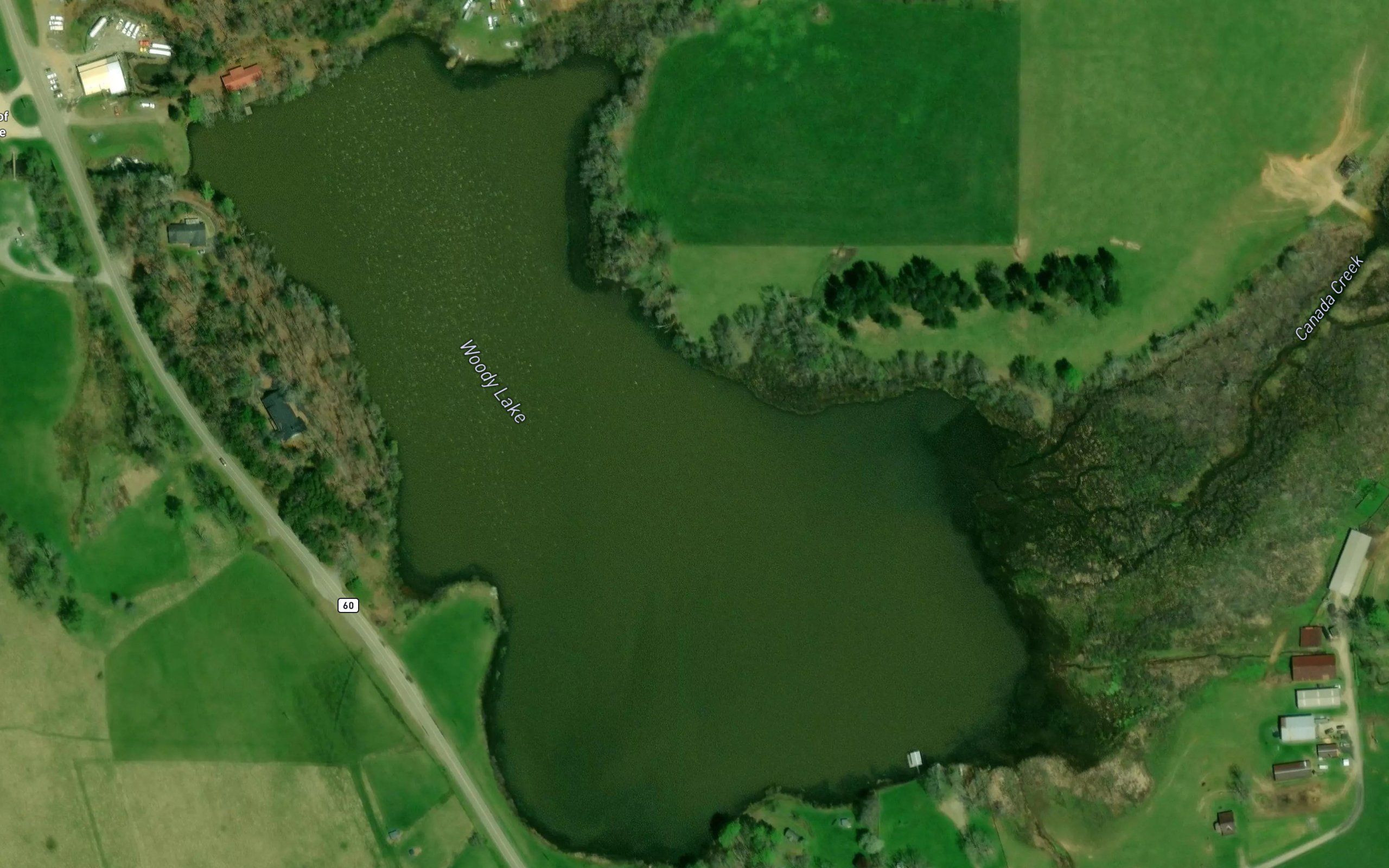 Woody Lake
