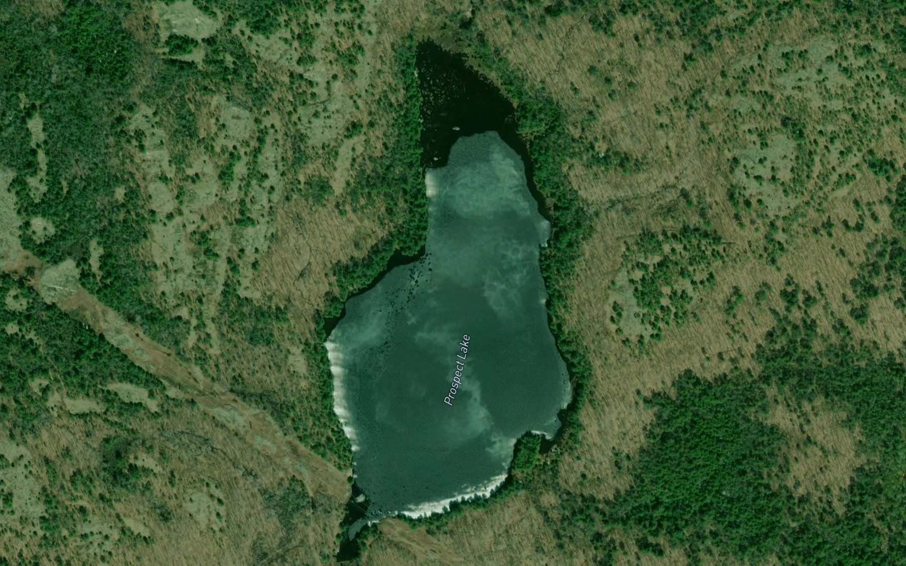 Satellite map of the Prospect Lake
