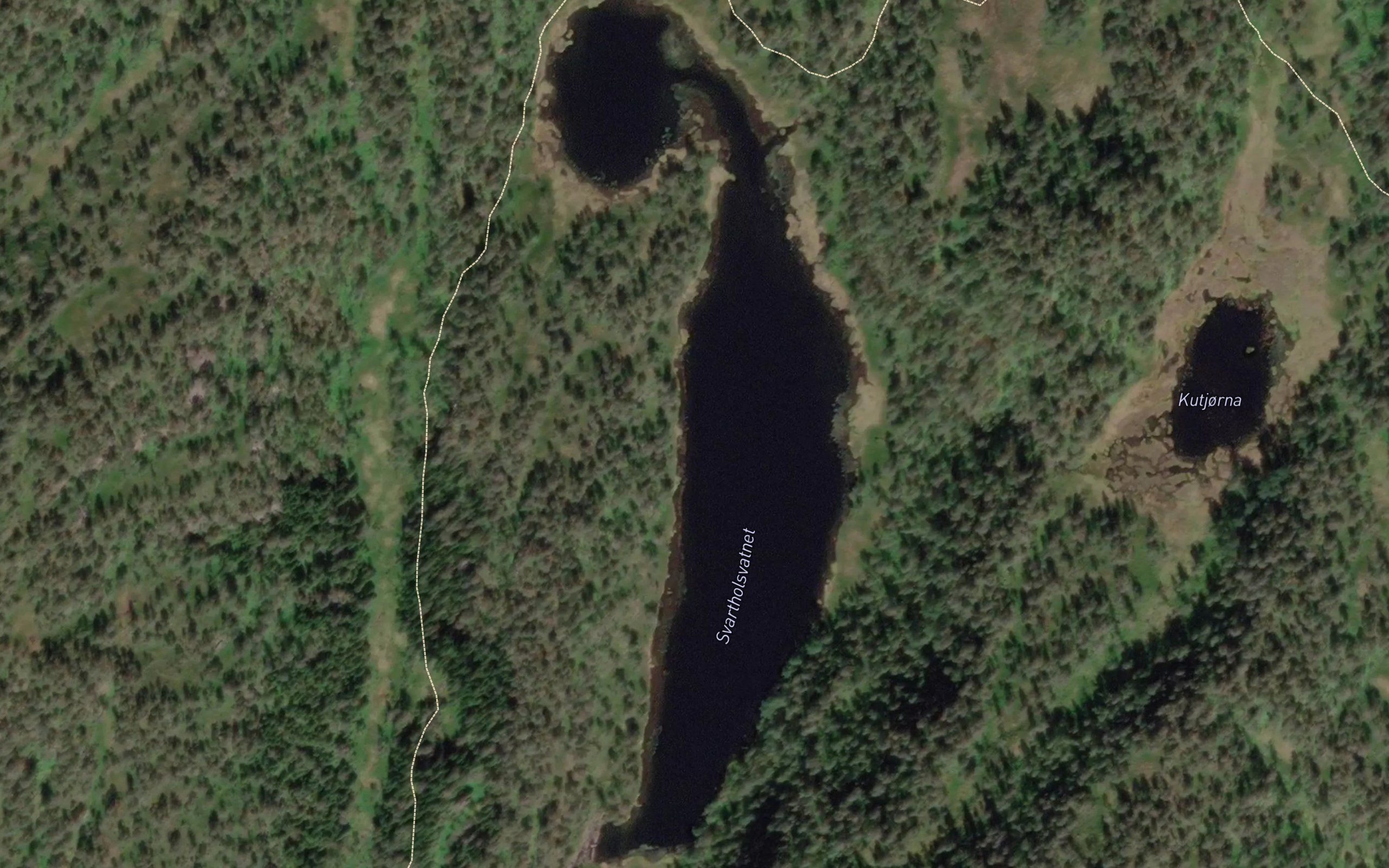 Svartavatnet