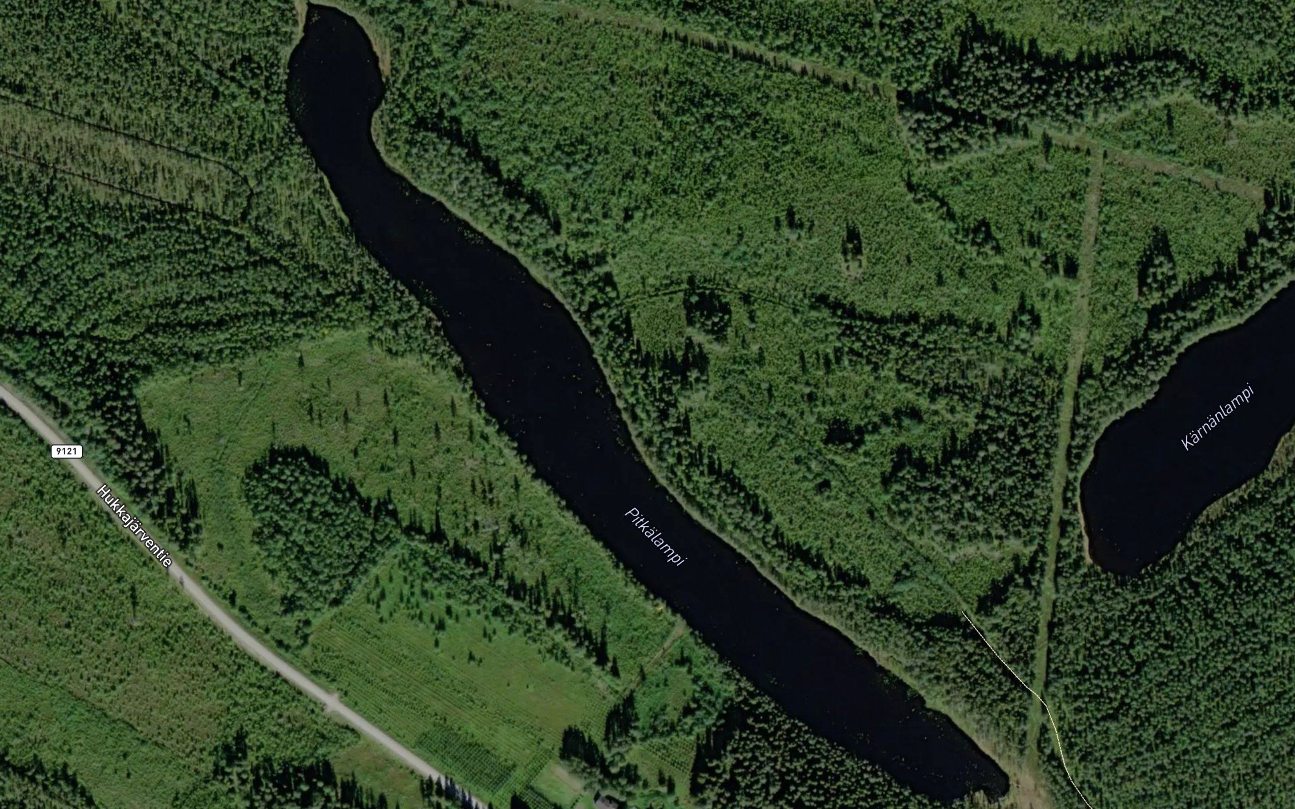 Pitkalampi