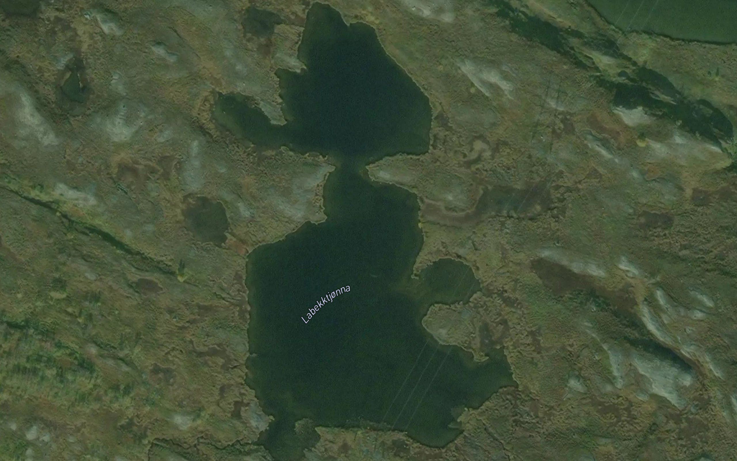 Labekktjorna