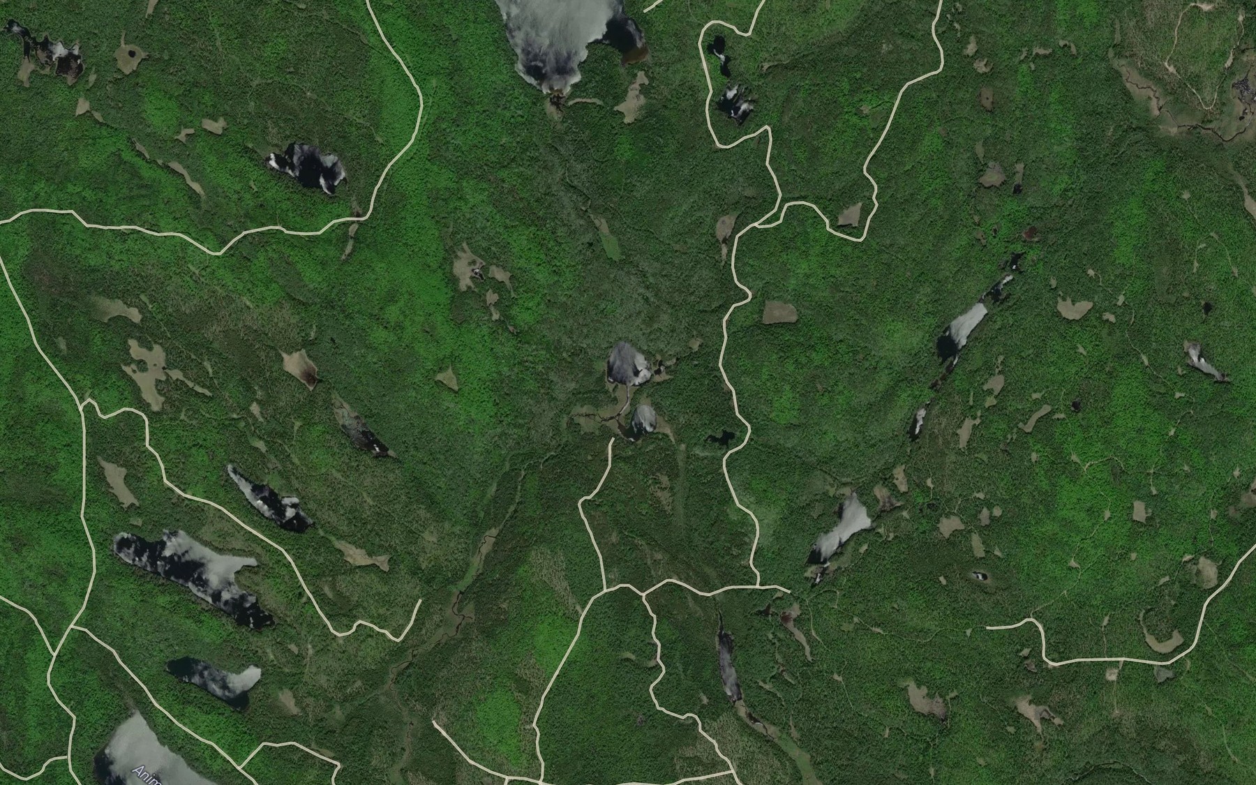 Satellite map of the Wabe Lake