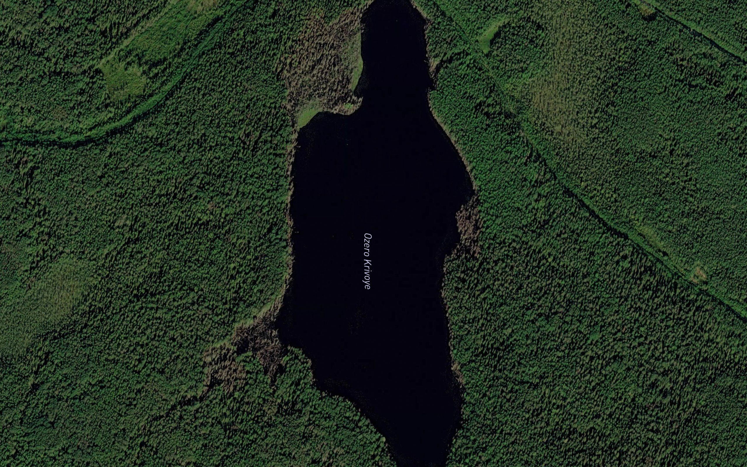 Ozero Krivoye