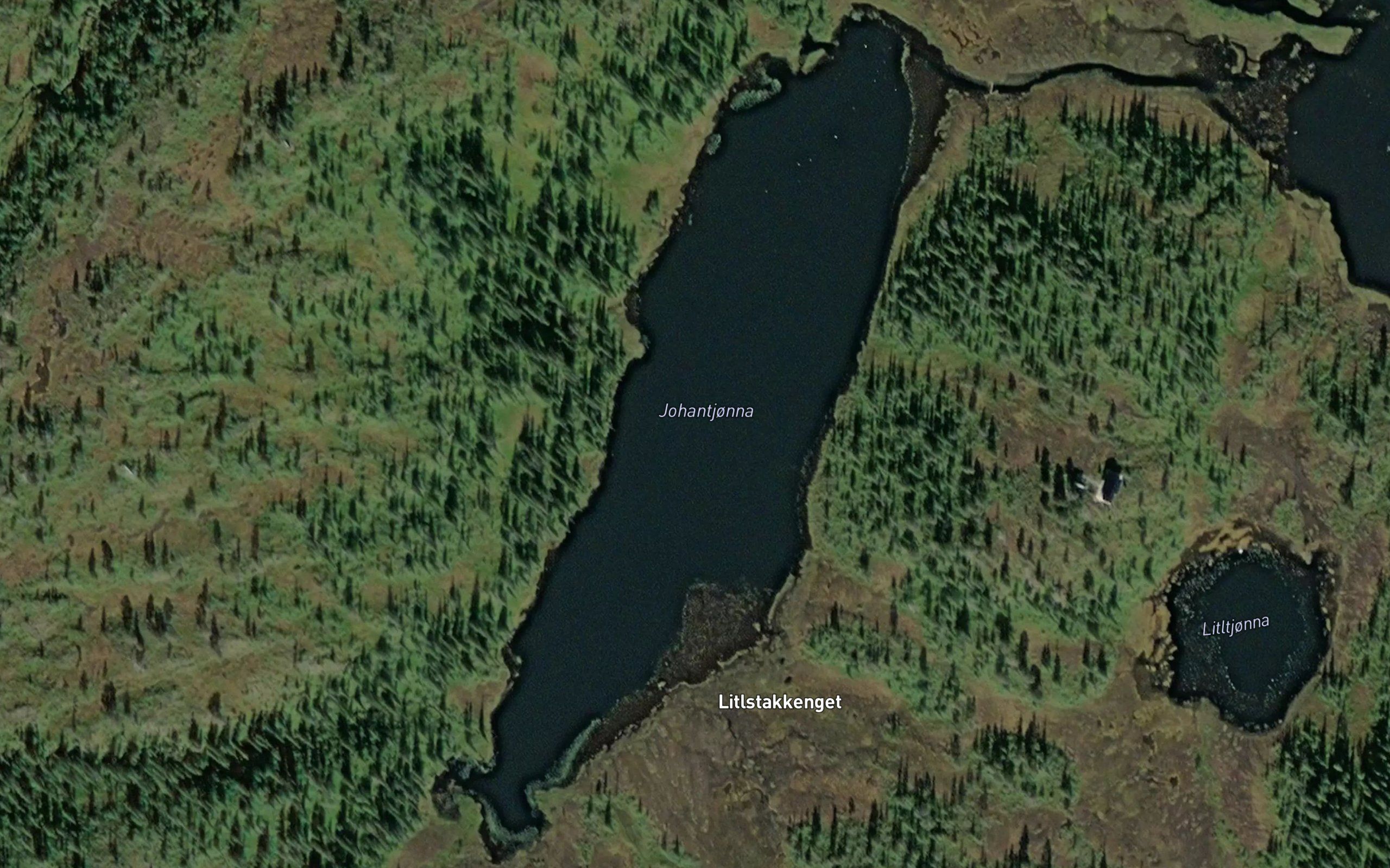 Johantjorna