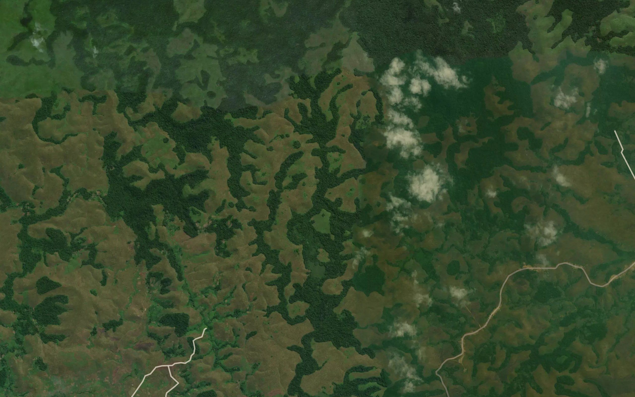 Senzele