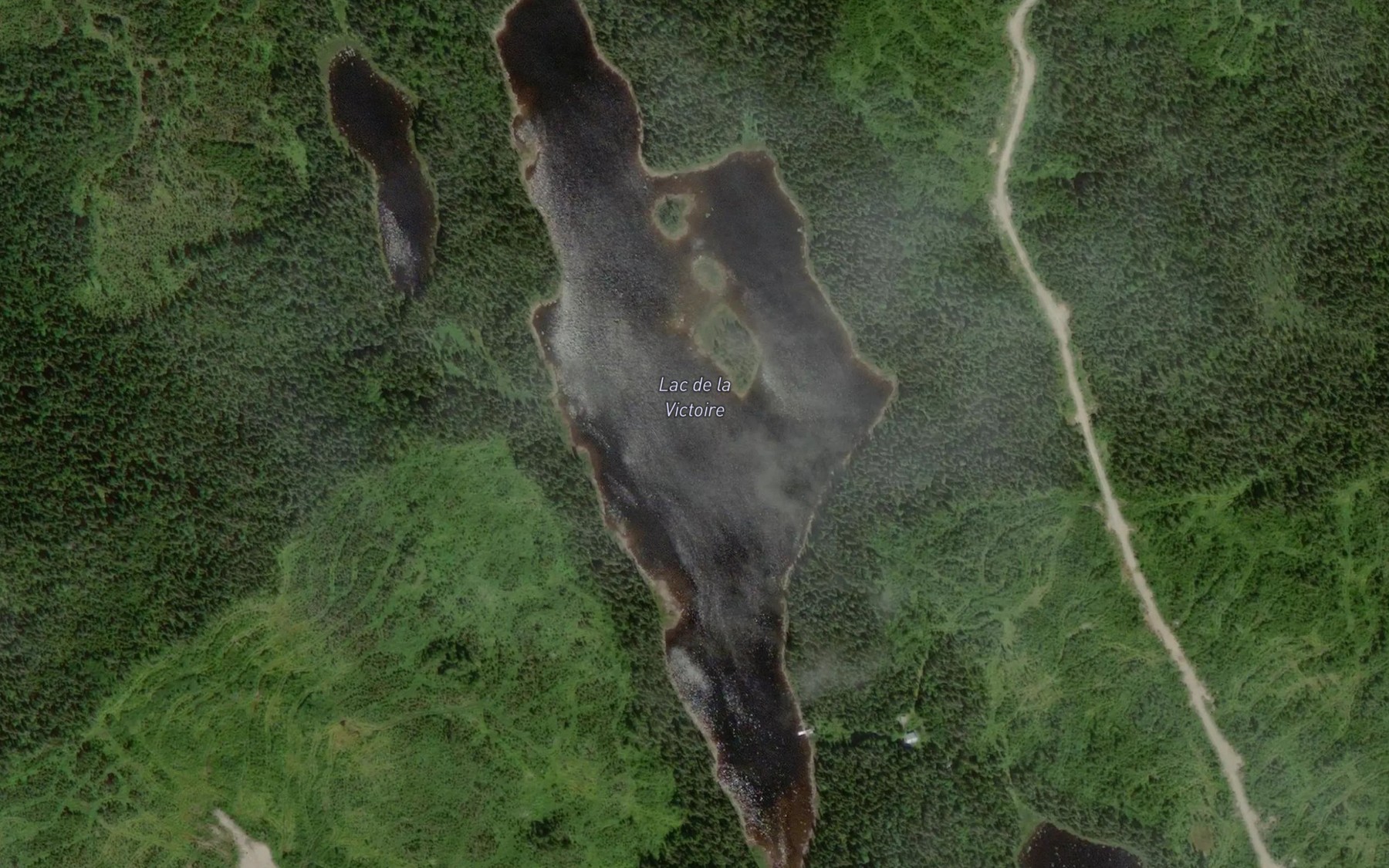 Satellite map of the Lac de la Victoire