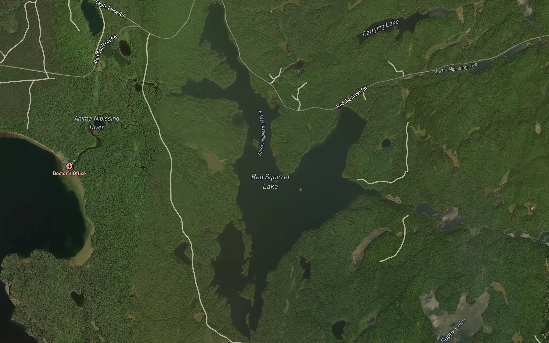 Satellite map of the Red Squirrel Lake