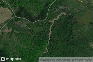 Little Birdsong Creek