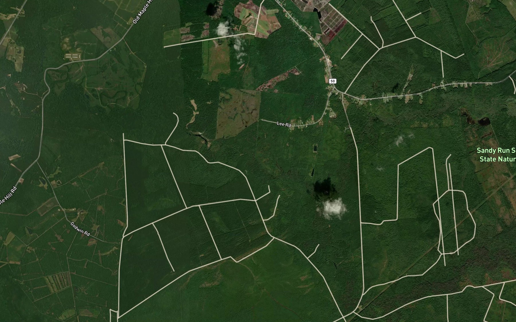 Satellite map of the Sandy Run Swamp