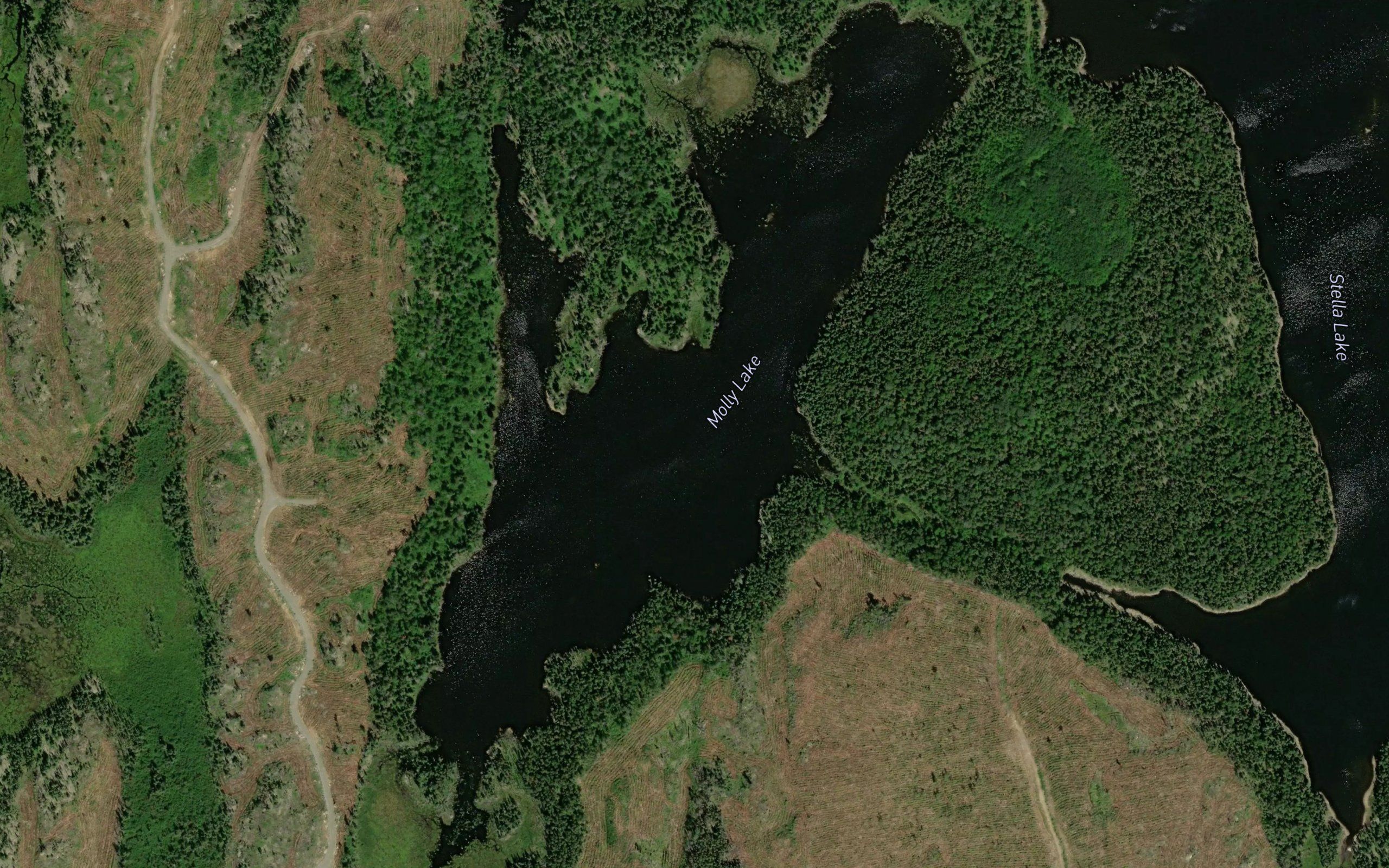 Molly Lake