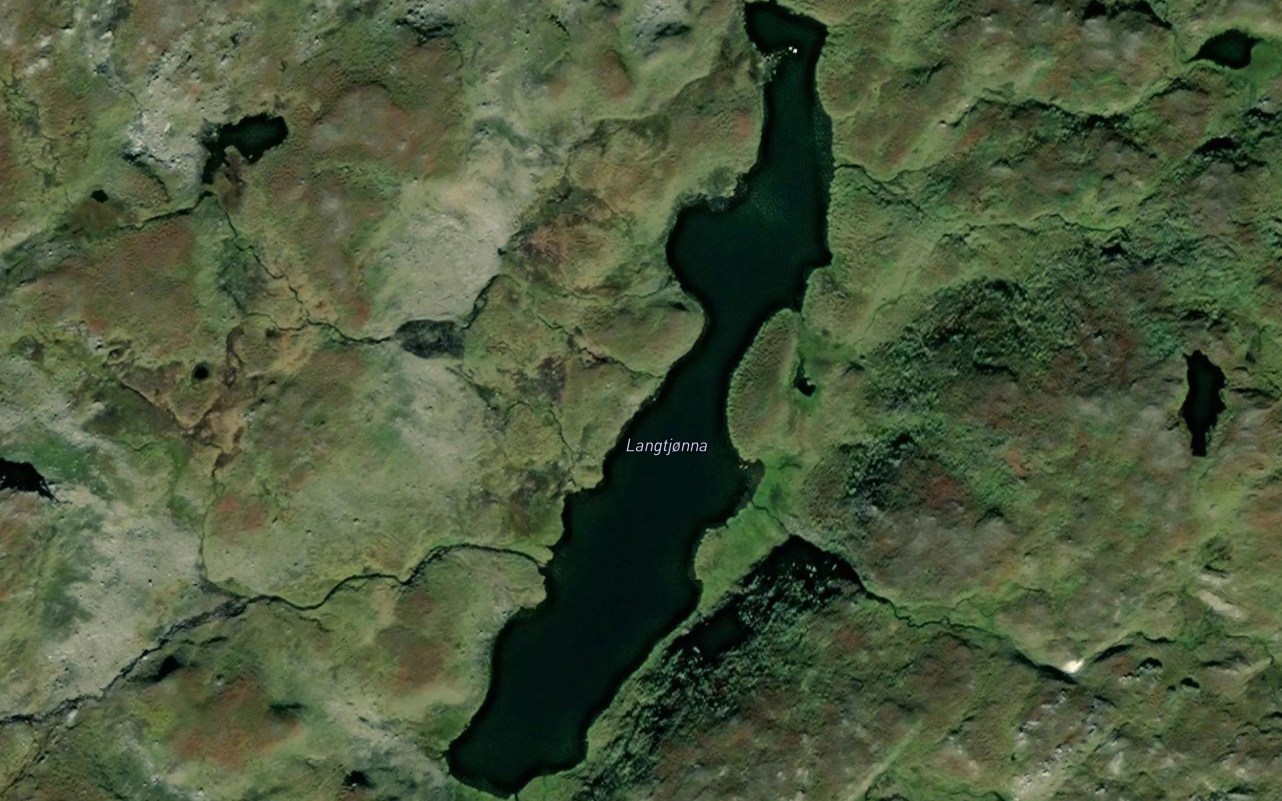 Langtjorna