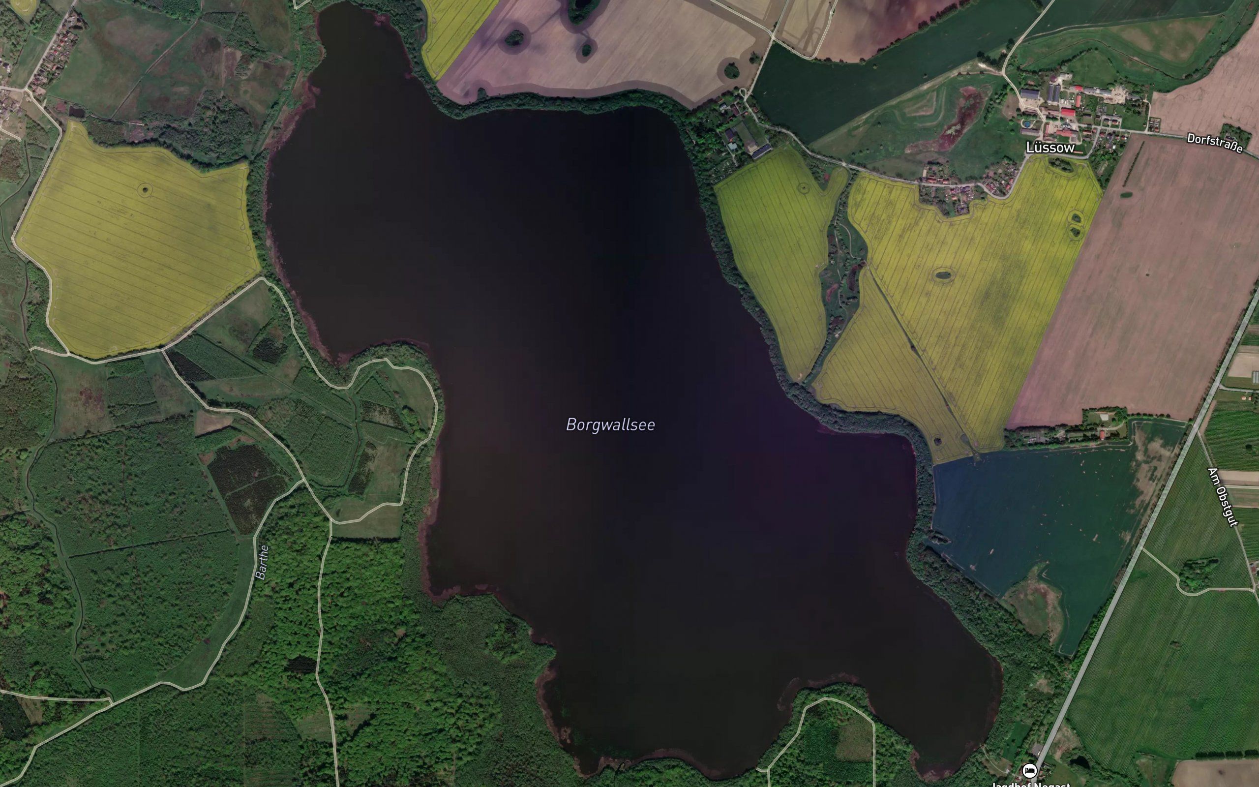 Borgwallsee
