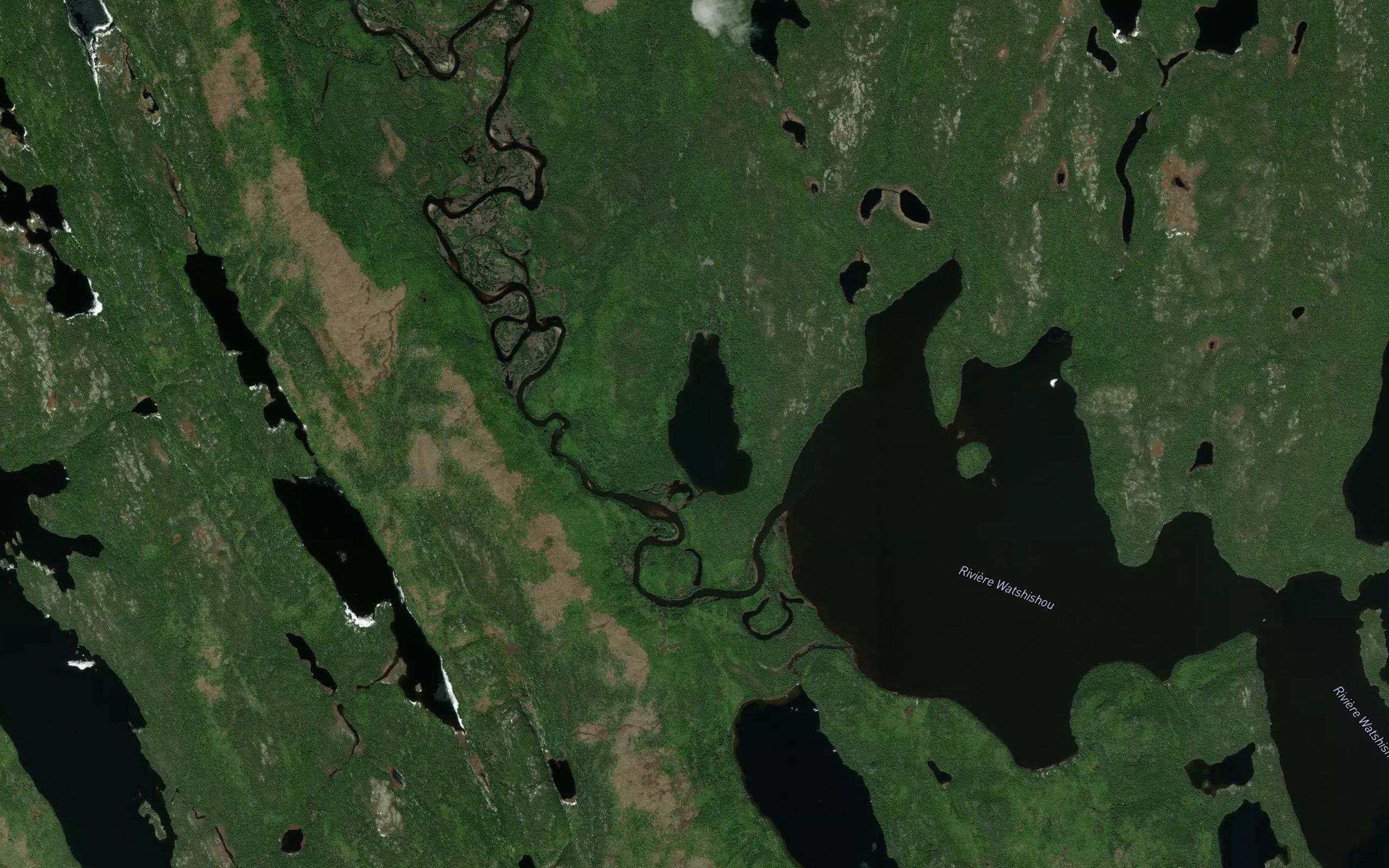 Lac Cache