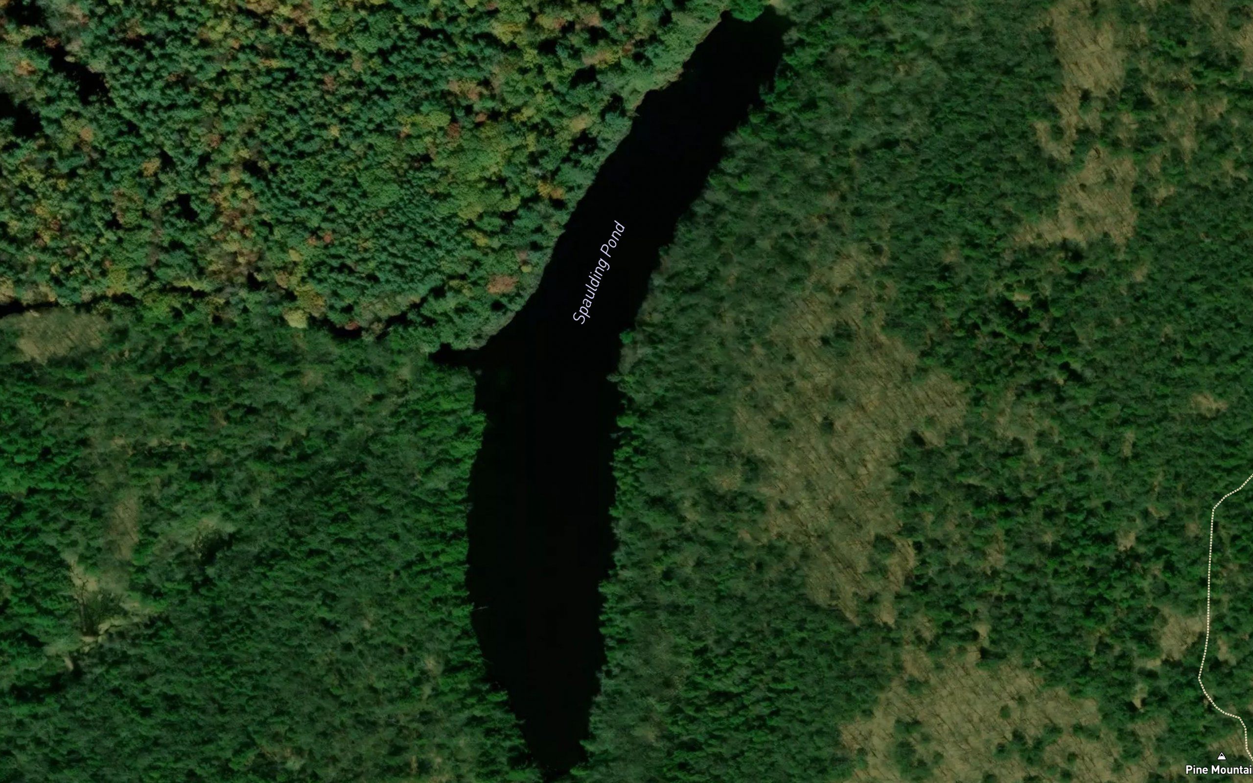 Spaulding Pond