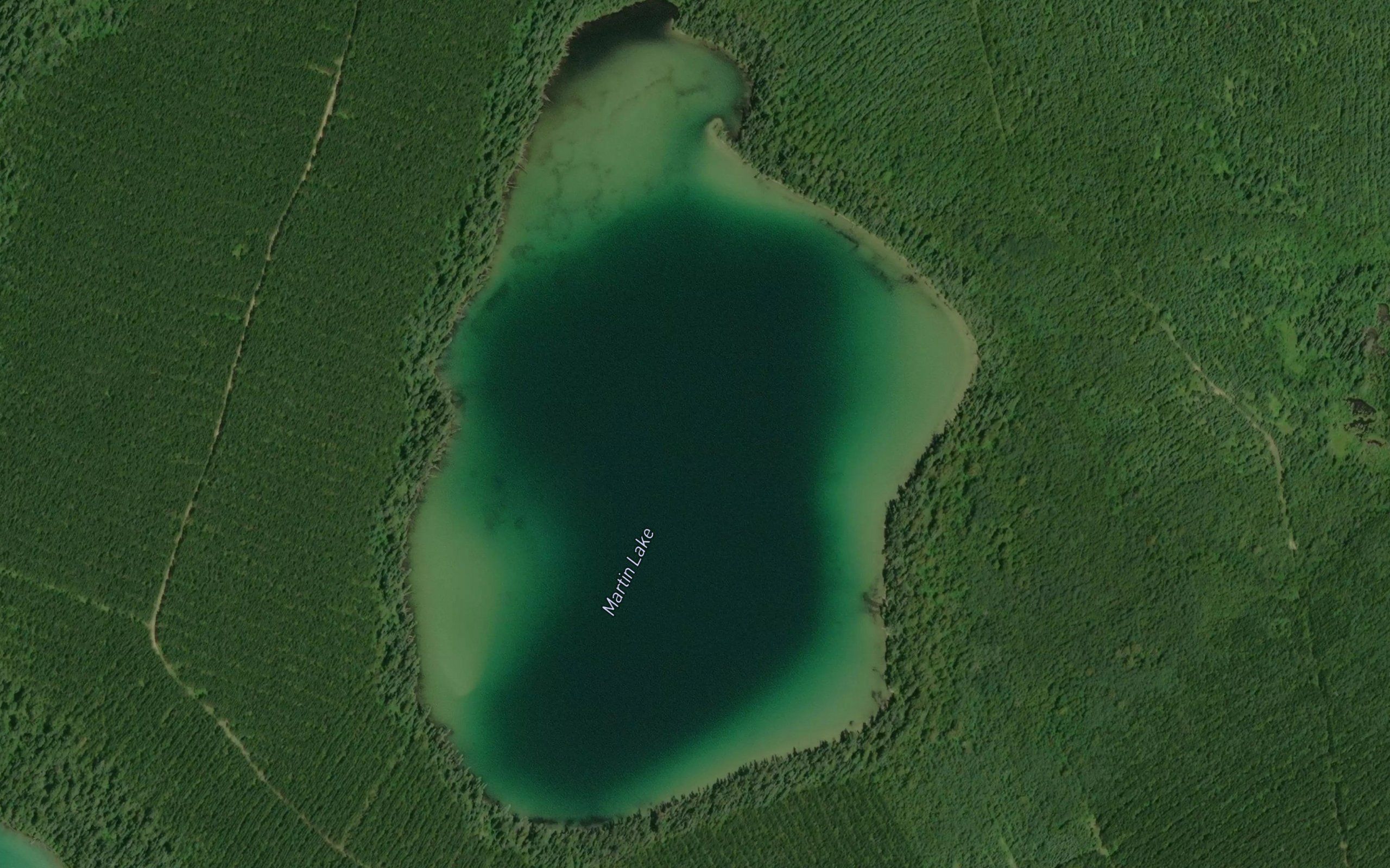 Martin Lake
