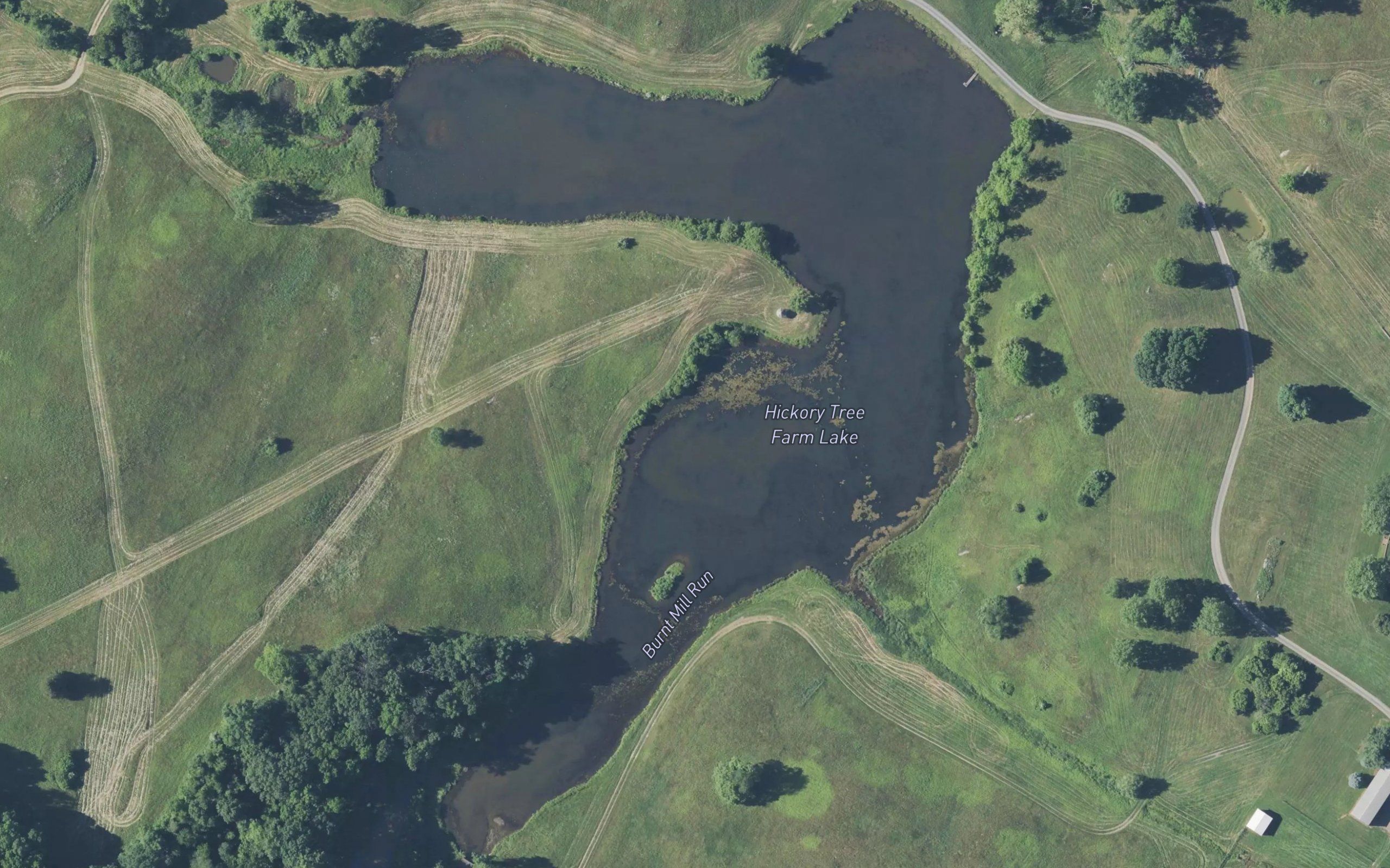 Hickory Tree Farm Lake