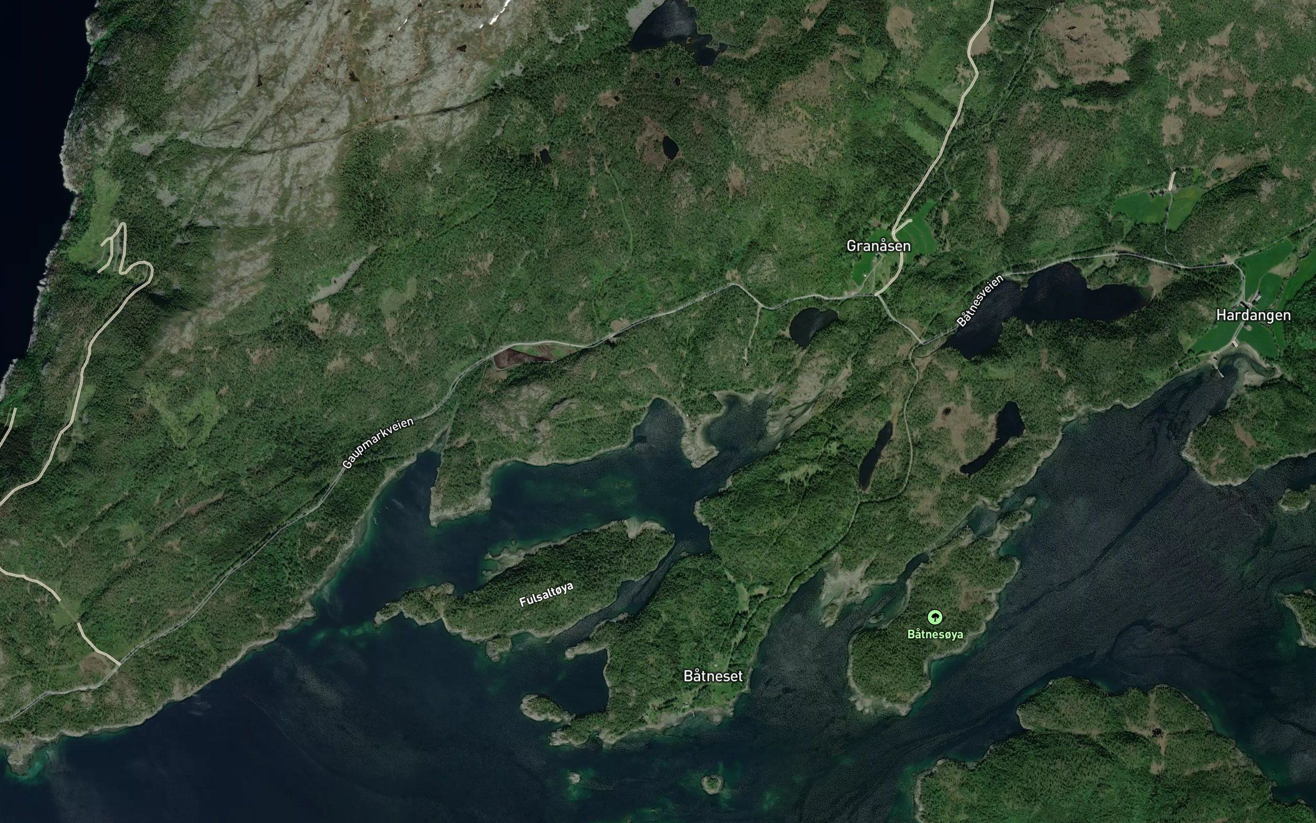 Dalavika
