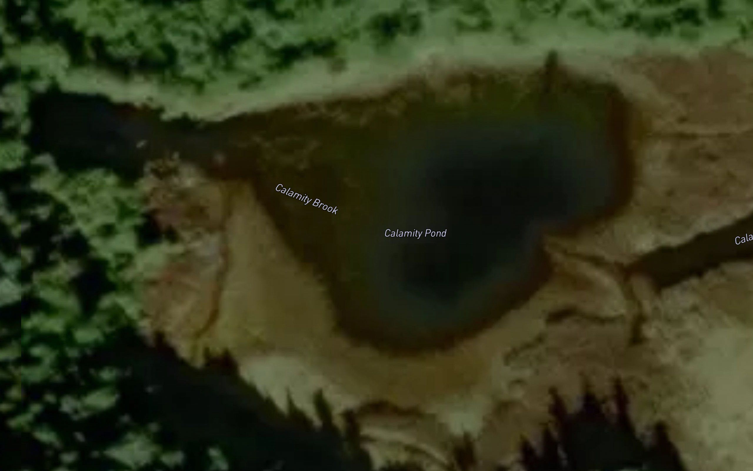 Calamity Pond