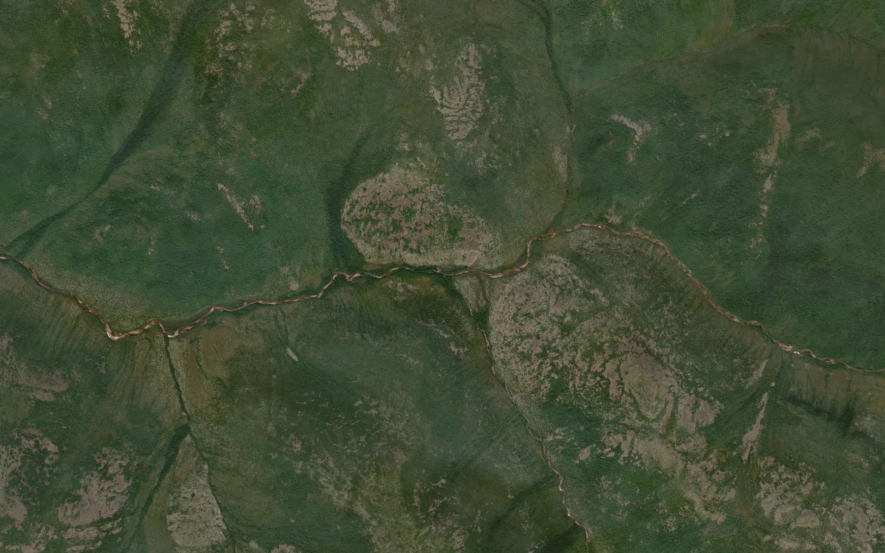 Satellite map of the Shumnyy