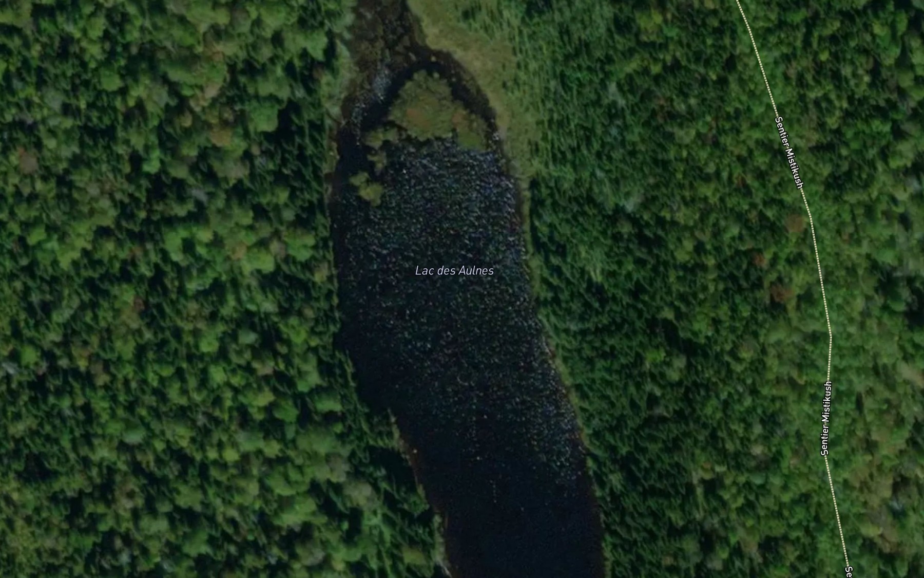 Satellite map of the Lac des Aulnes