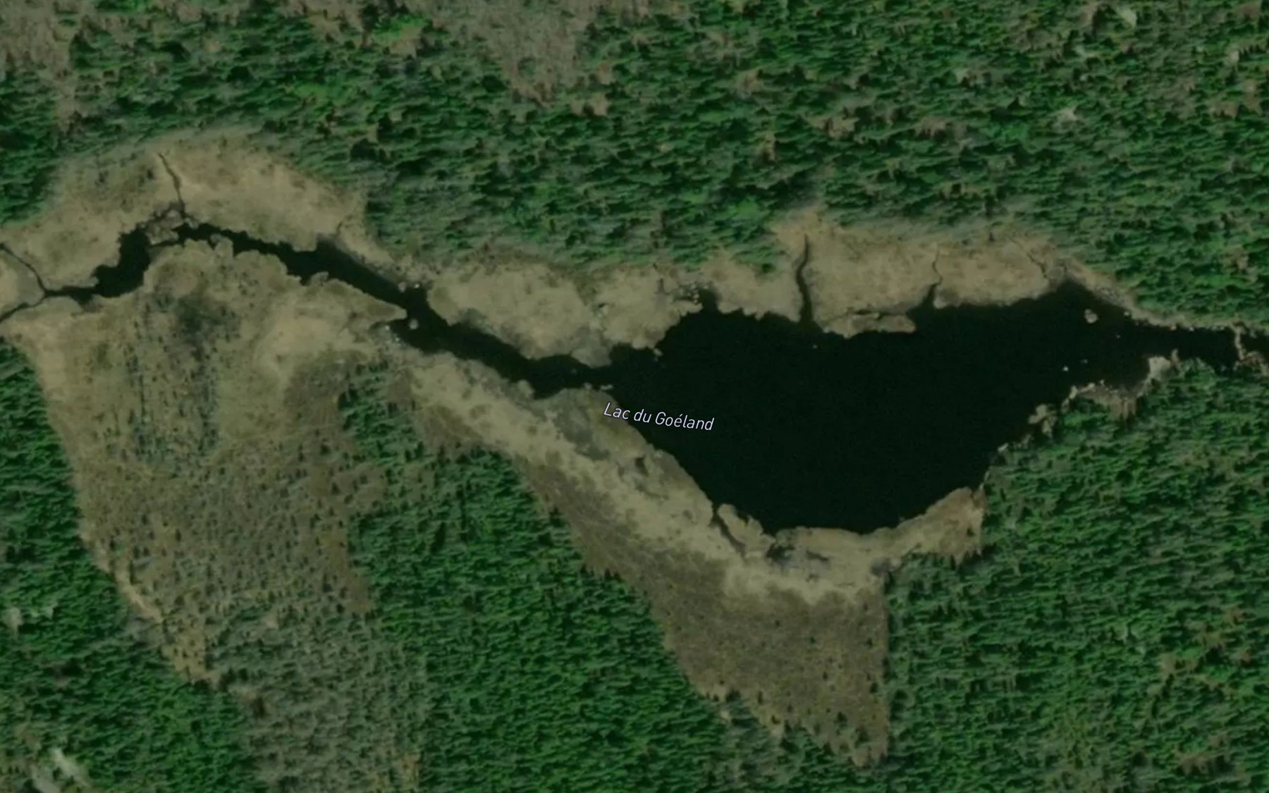 Satellite map of the Lac du Goeland