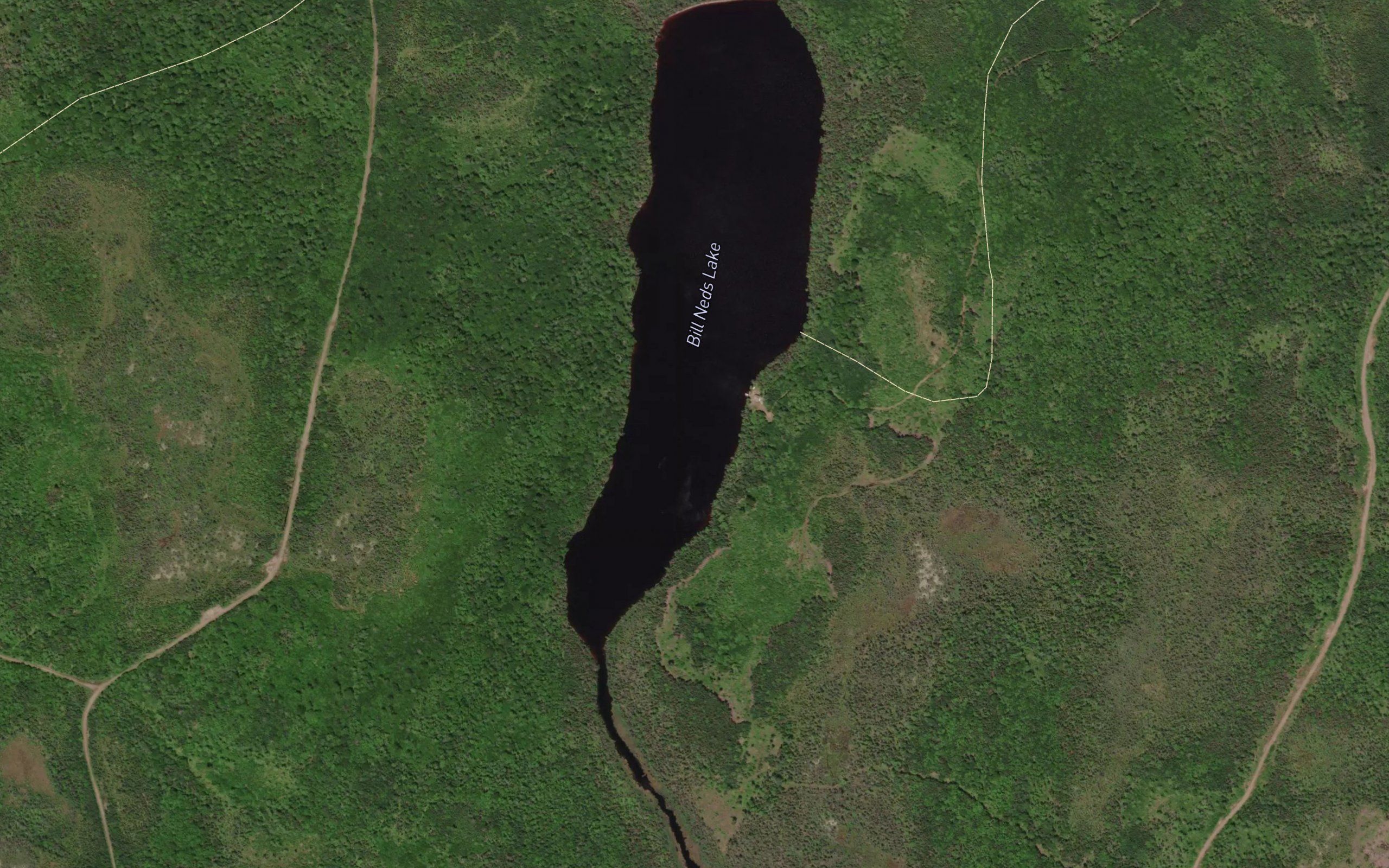 Bill Neds Lake
