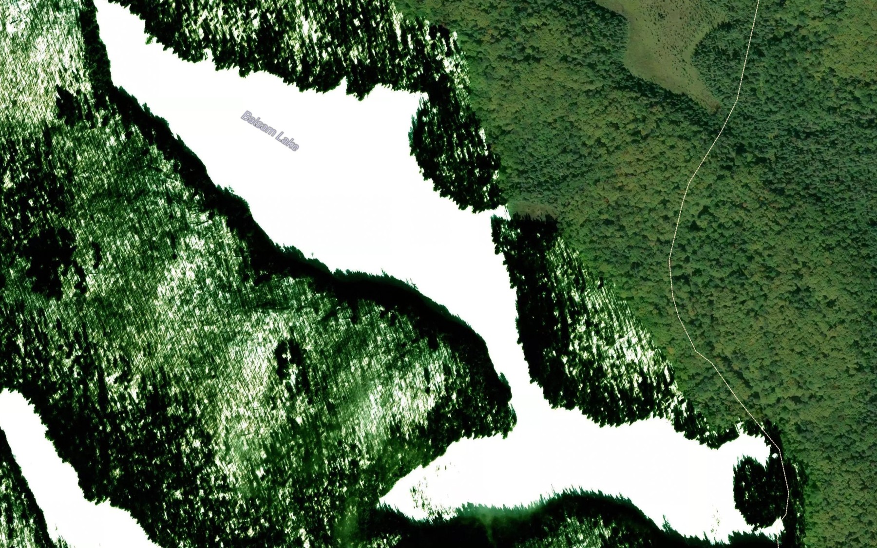 Satellite map of the Balsam Lake
