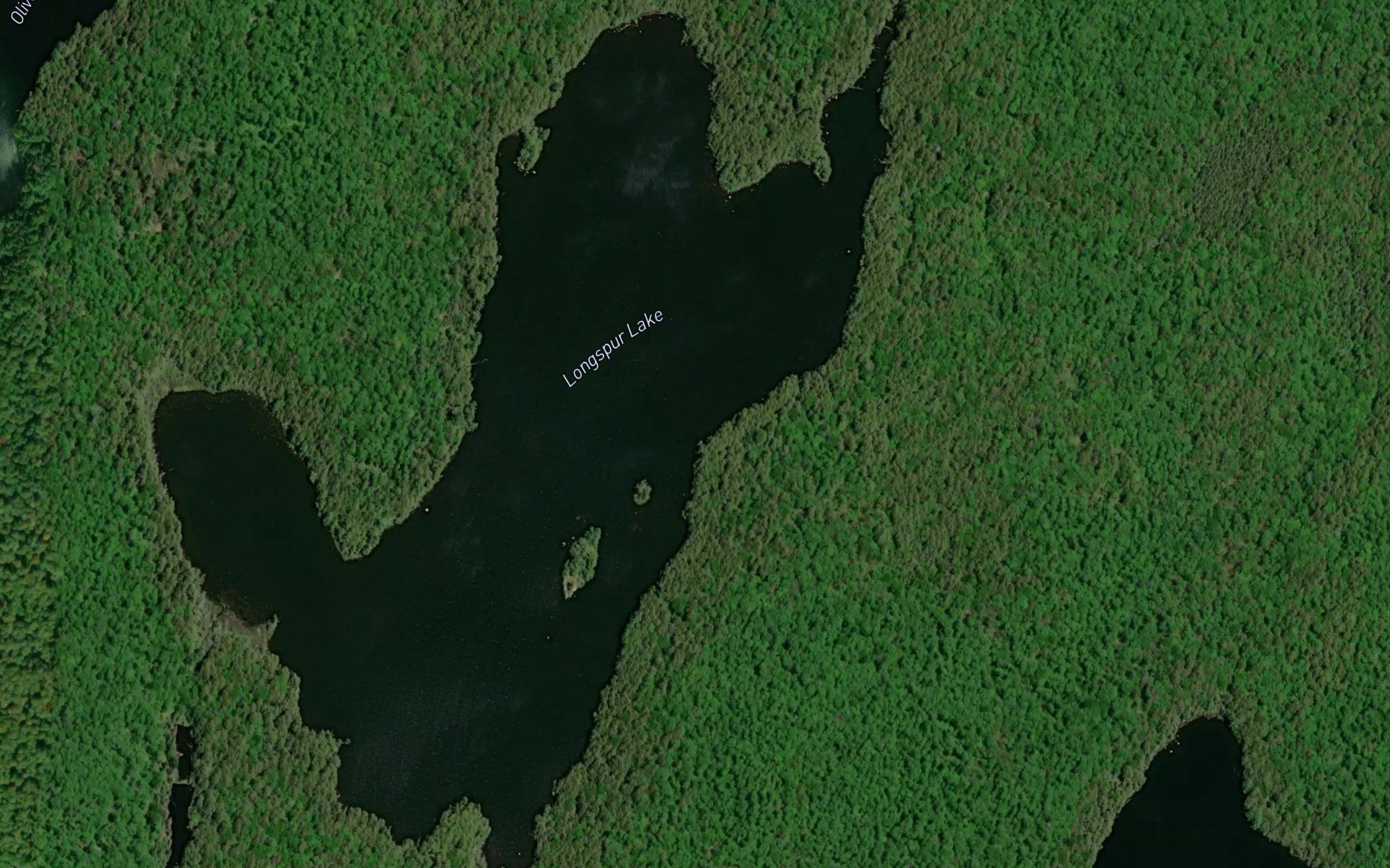 Longspur Lake