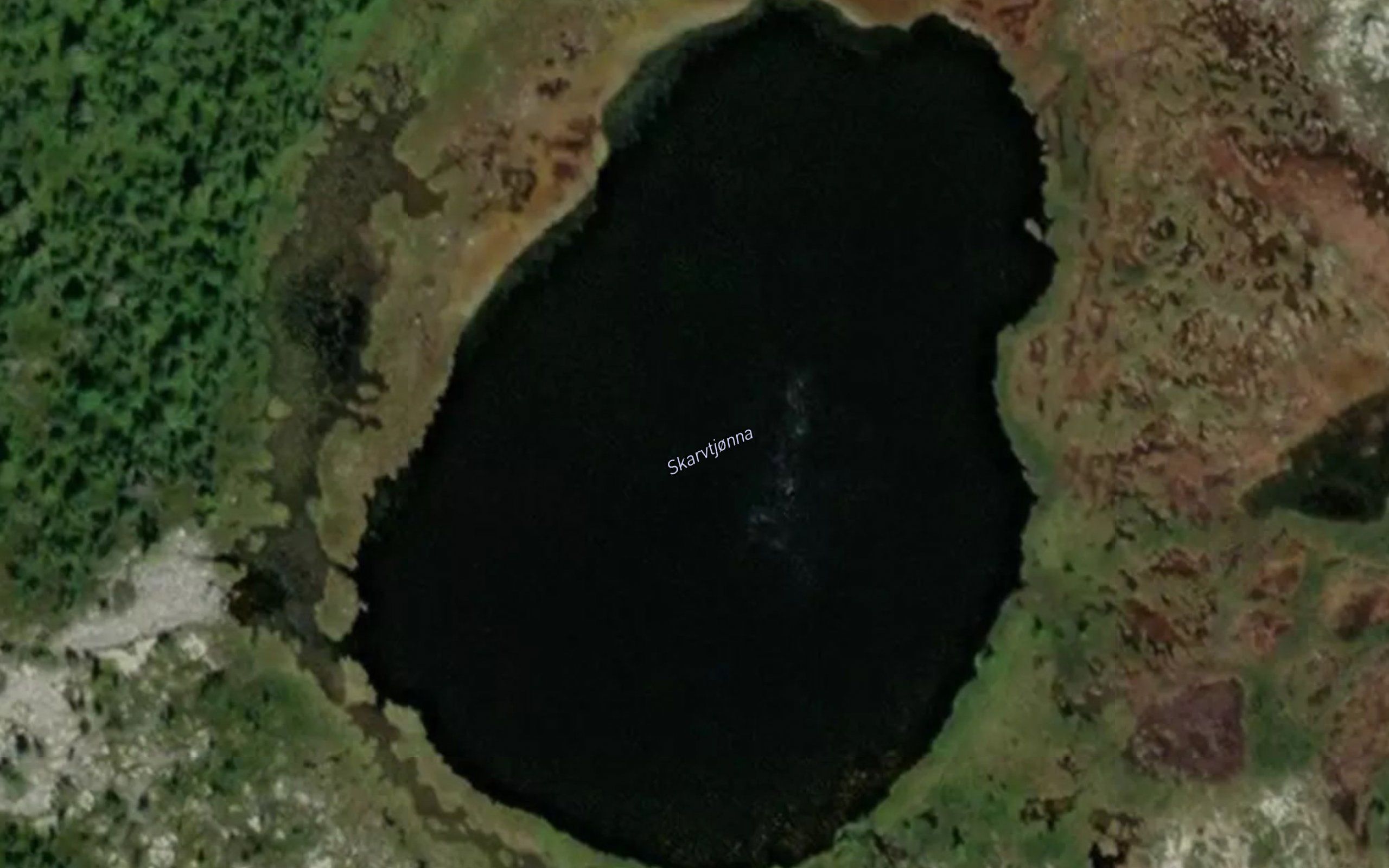 Skarvtjorna