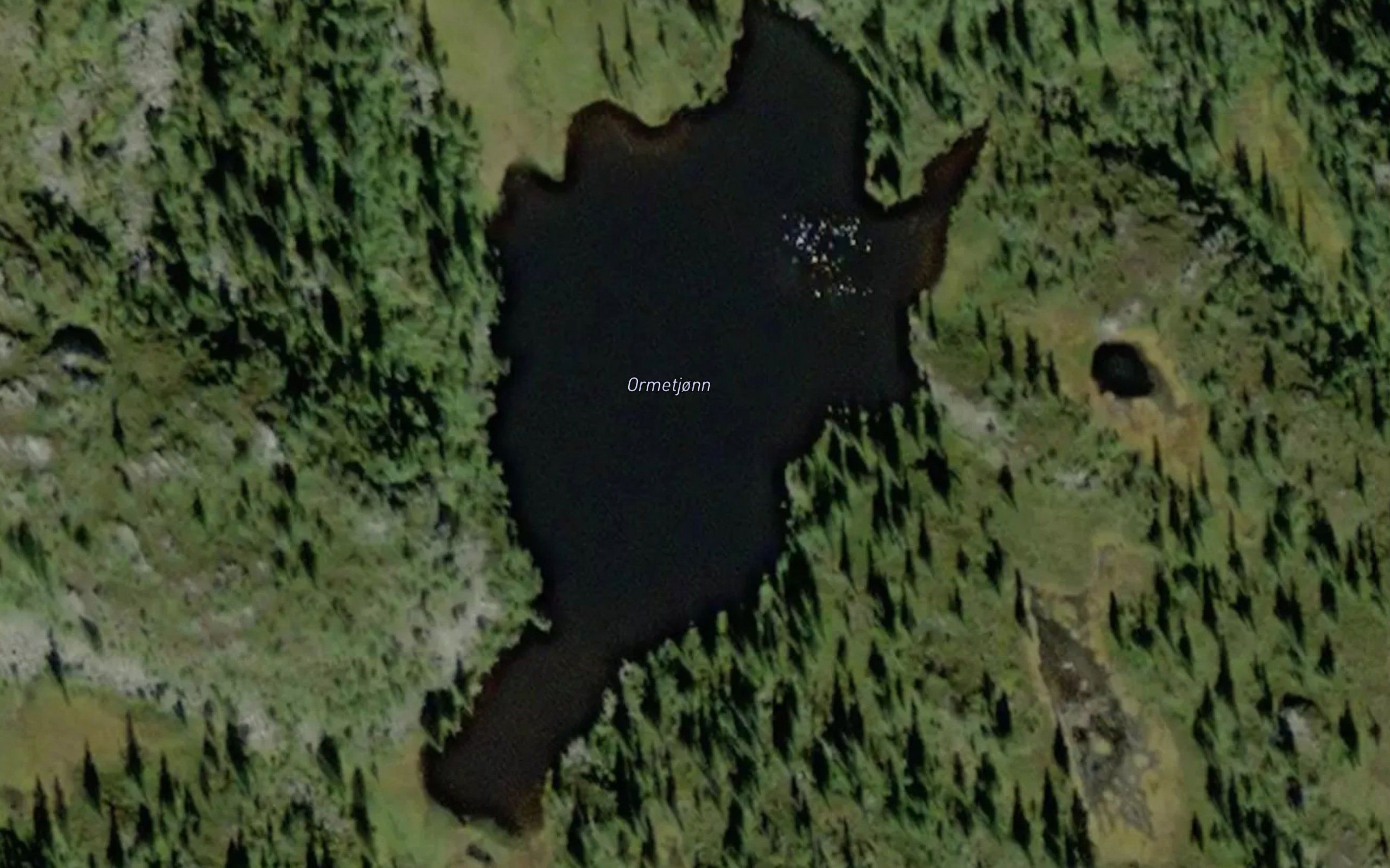 Ormetjonn