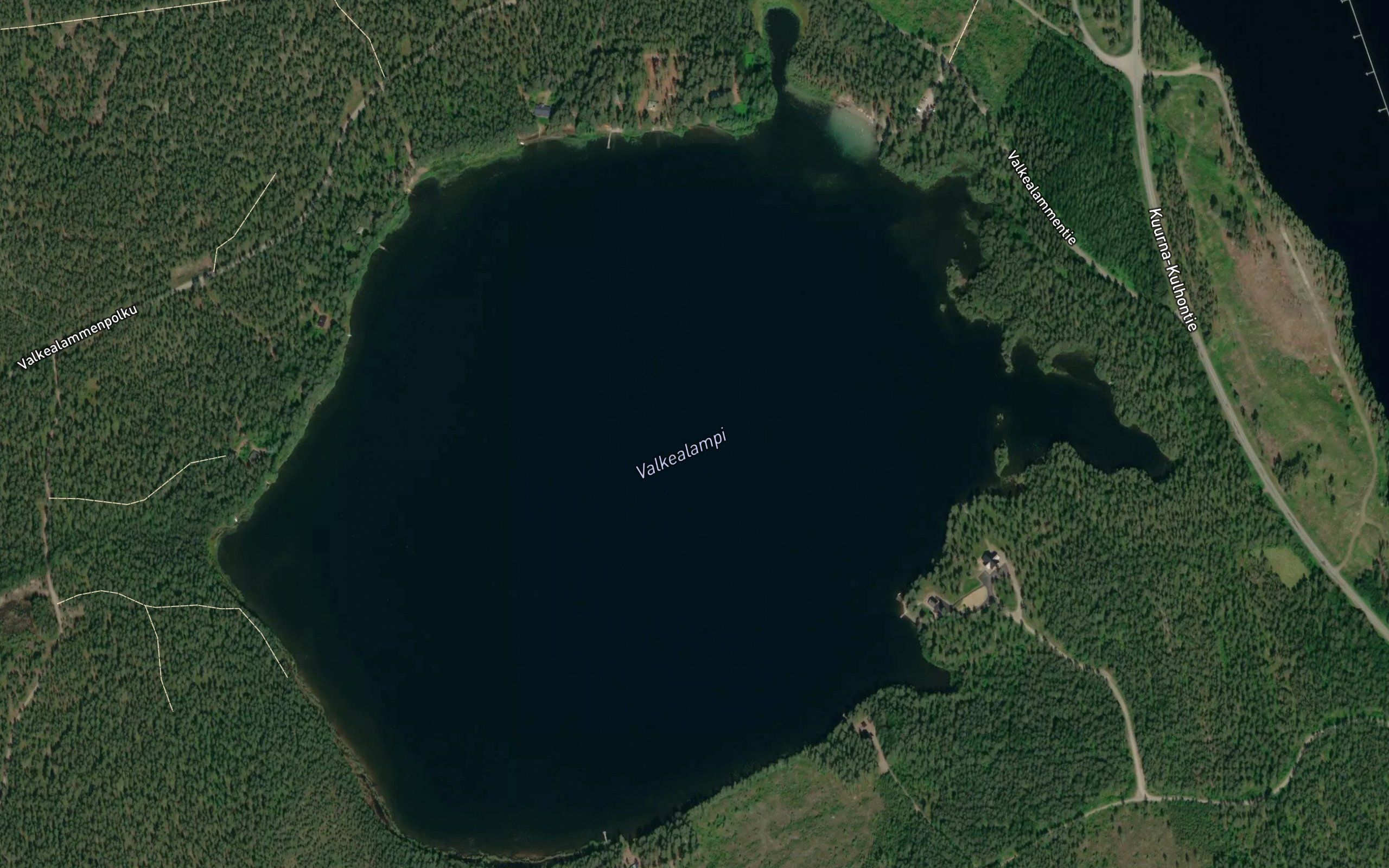 Valkealampi