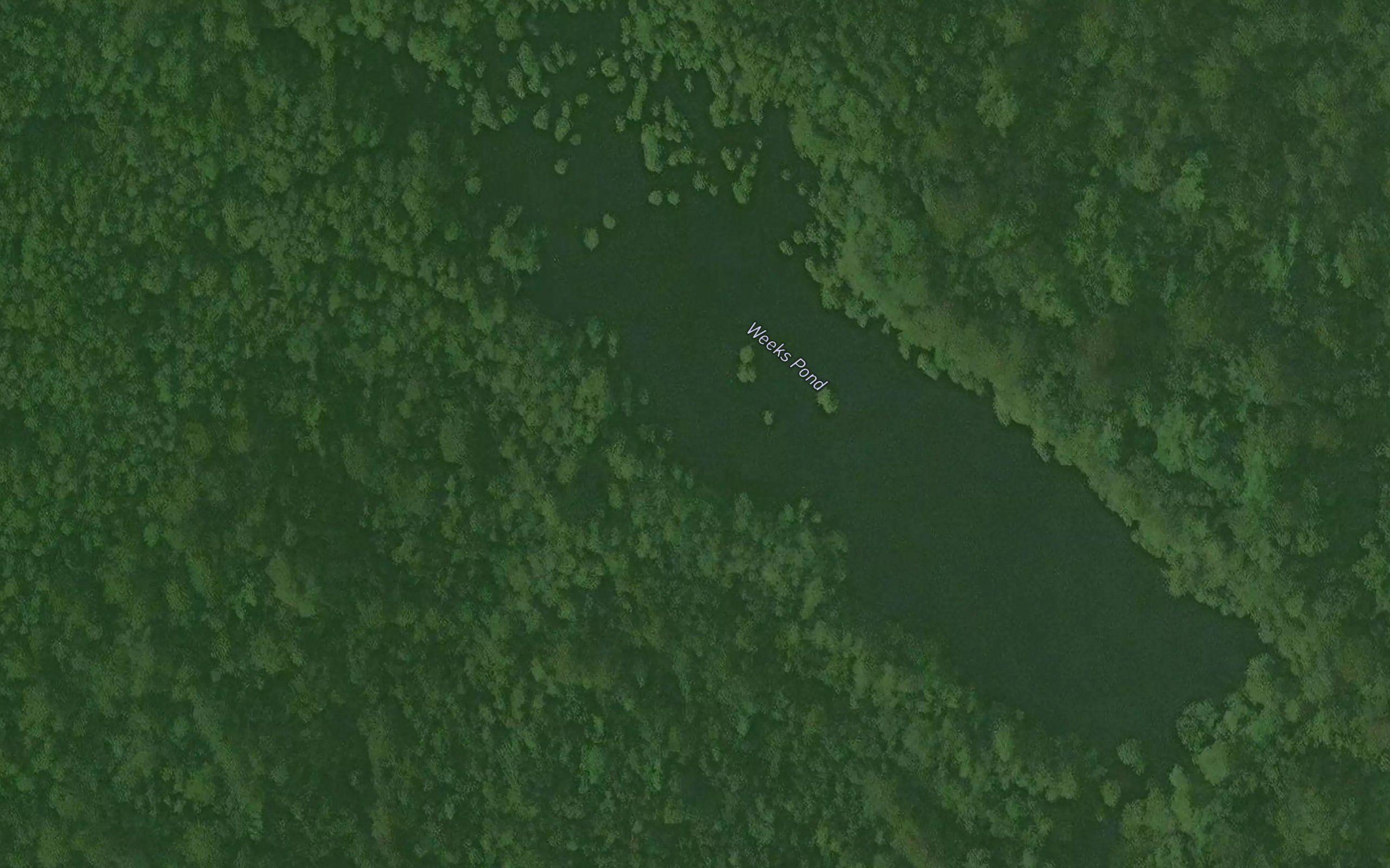 Weeks Pond