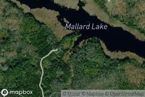 Mallard Creek