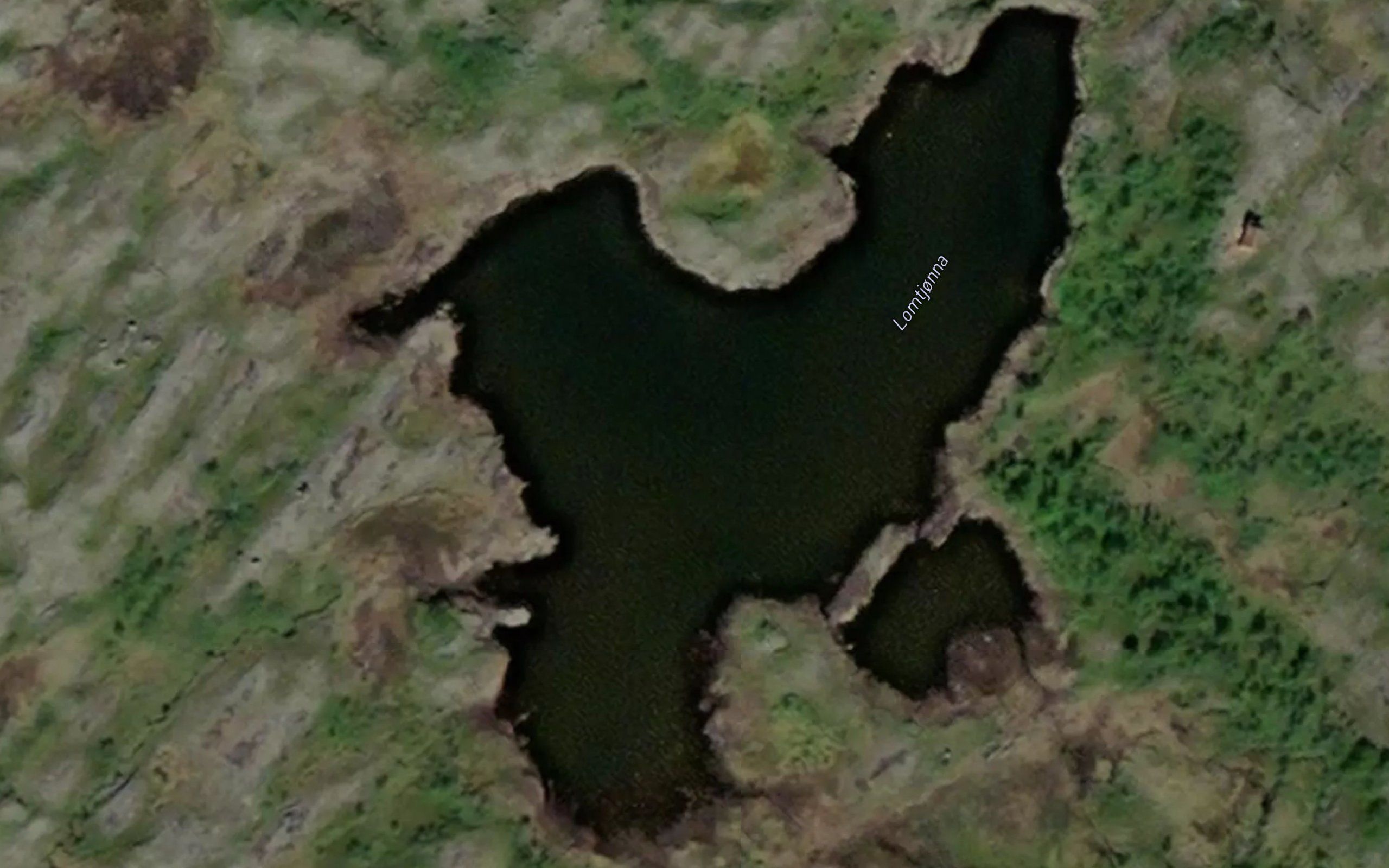 Lomtjorna