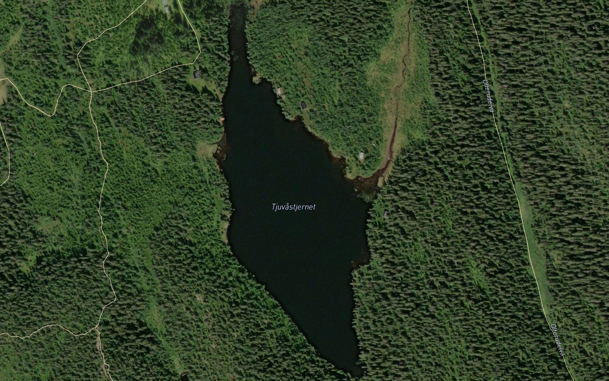 Tjuvastjern
