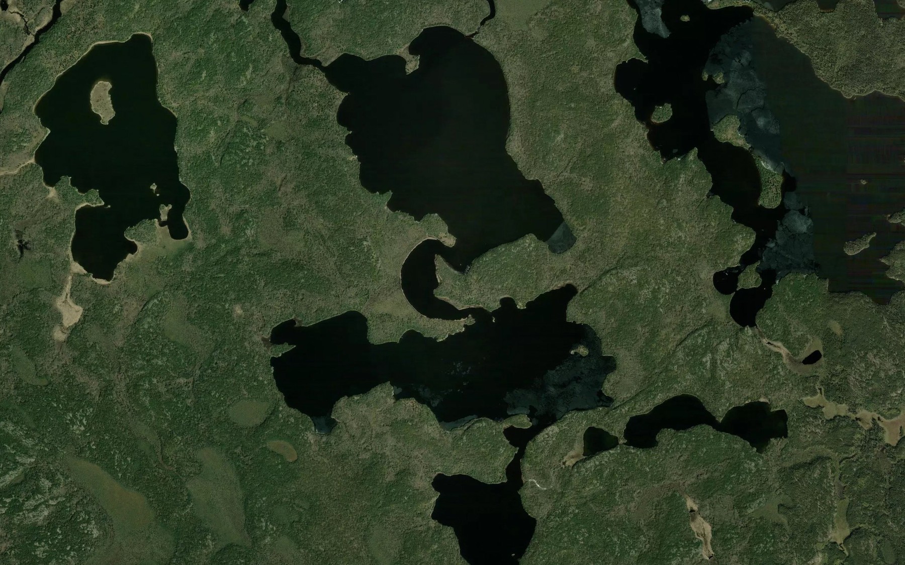 Satellite map of the Robert Lake