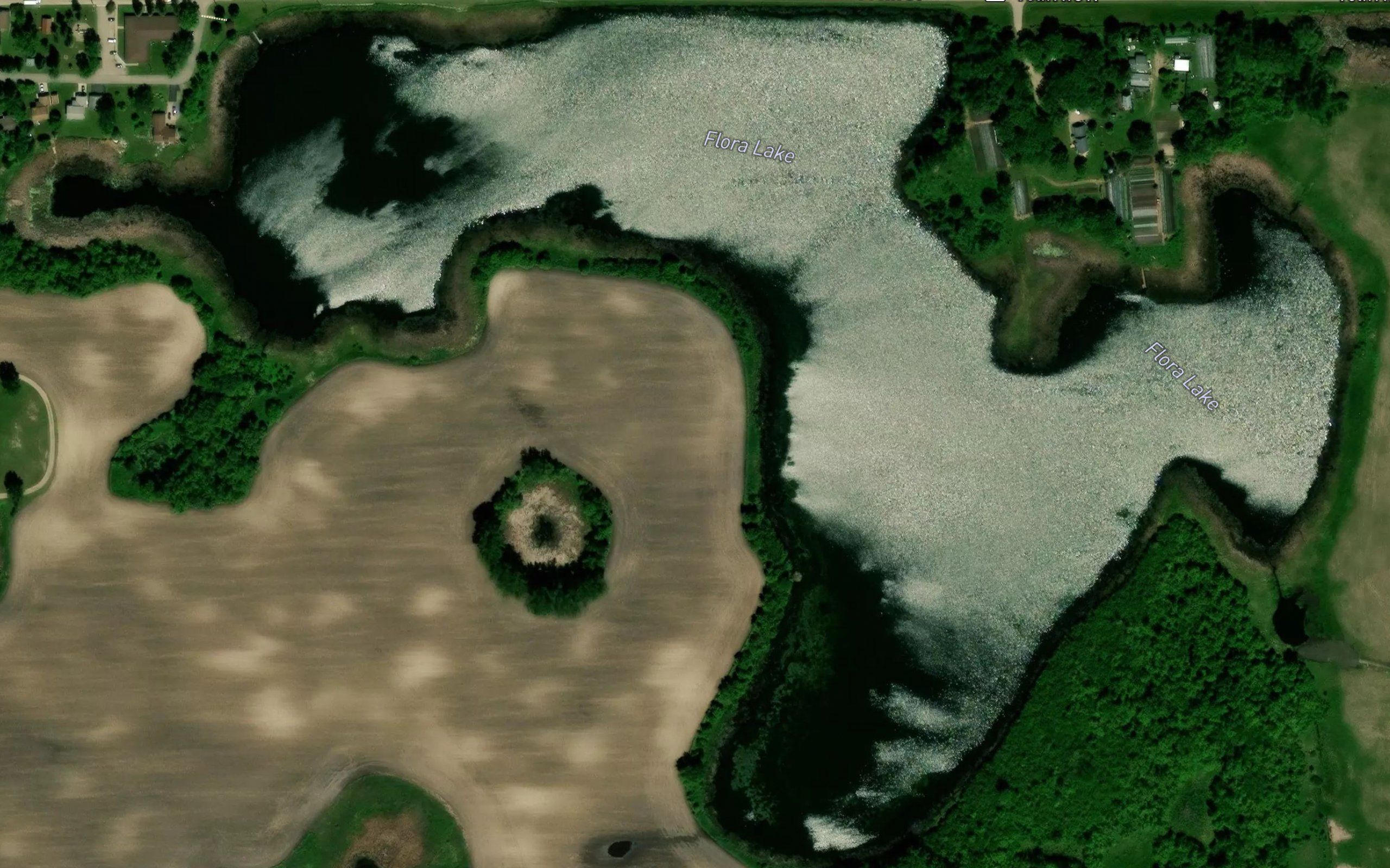 Flora Lake