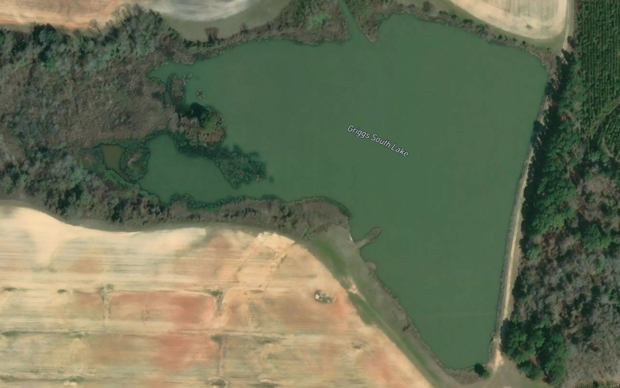 Griggs South Lake