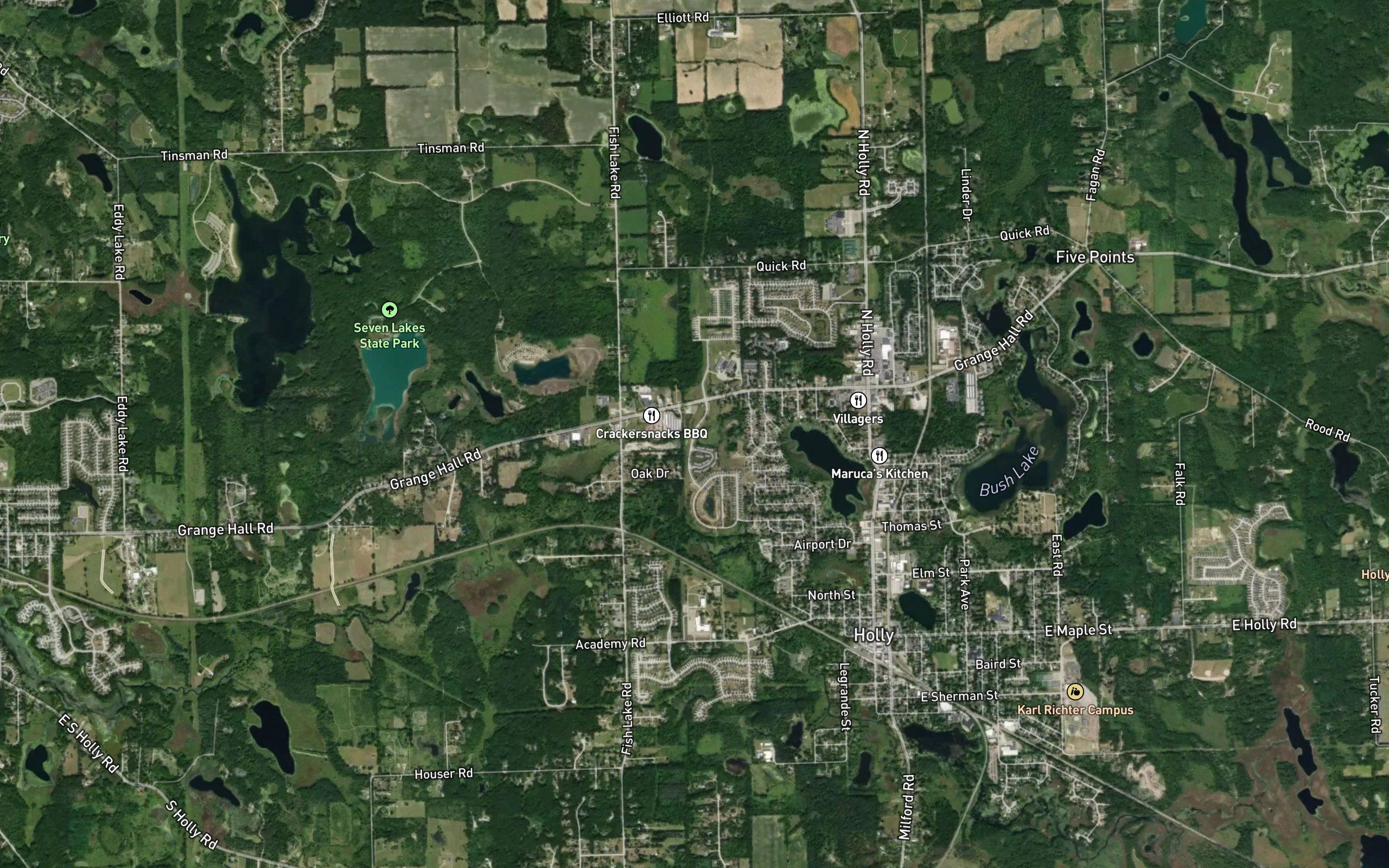 Patterson Holly Drain