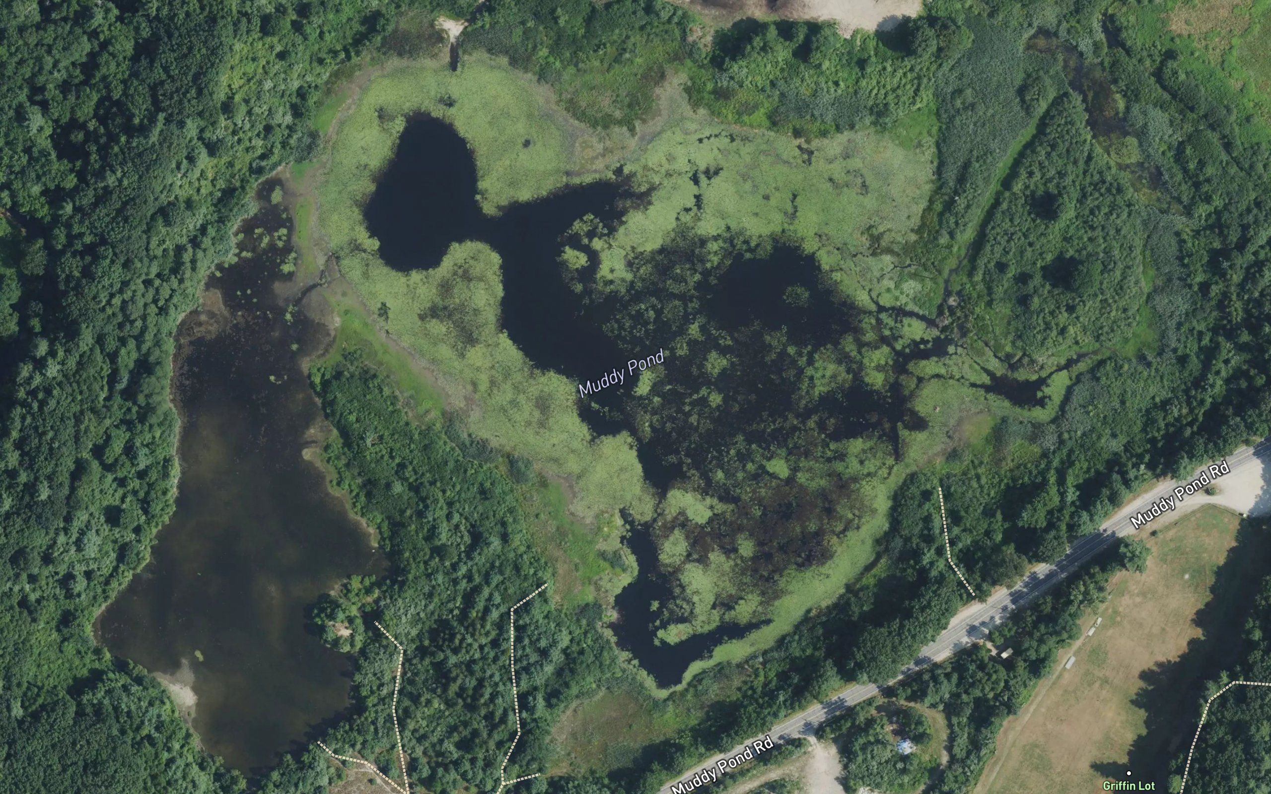 Muddy Pond