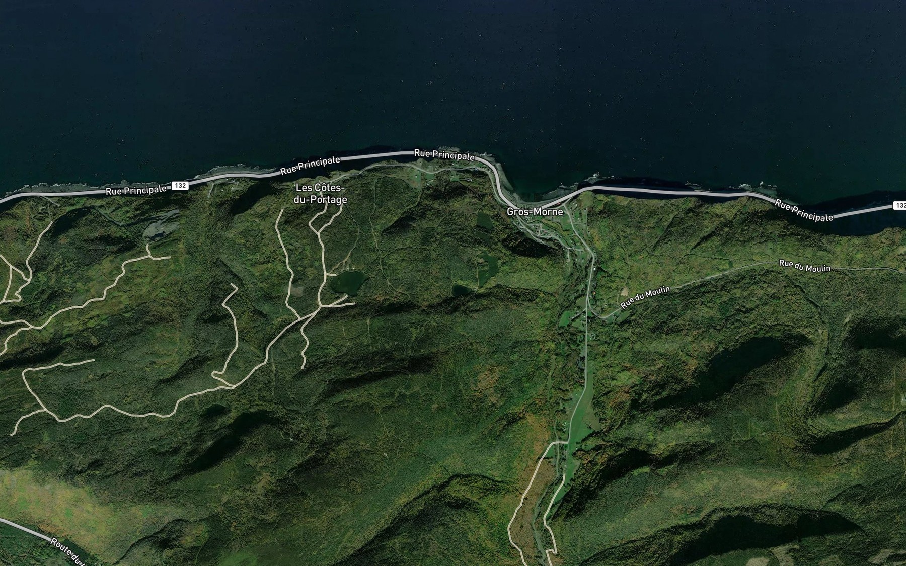 Satellite map of the Lac a Poleon