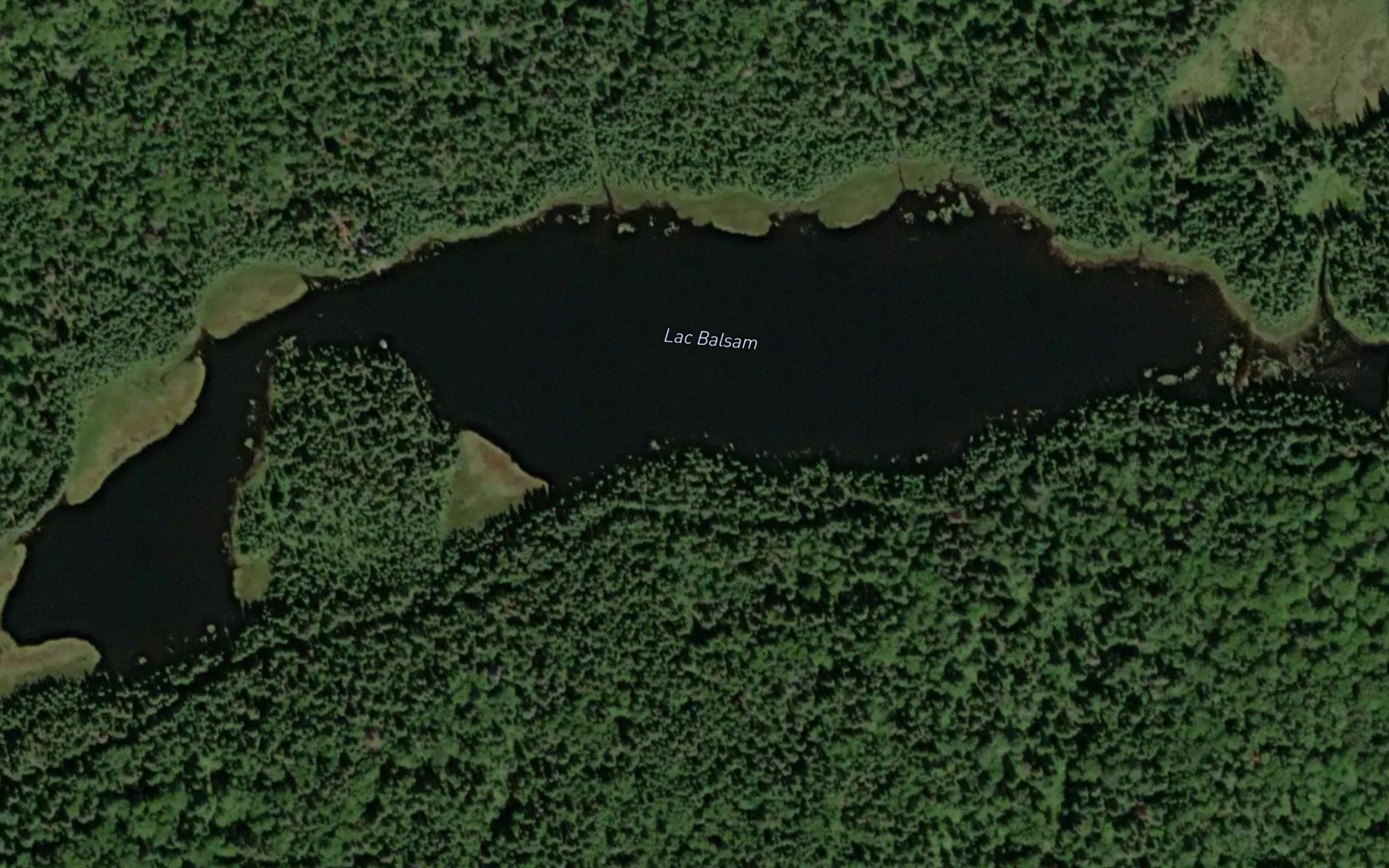 Lac Balsam