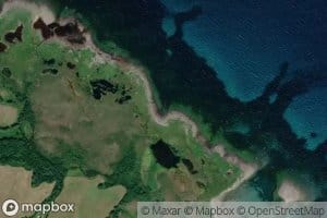 Fiskvika