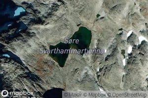 Sore Svarthammartjonna