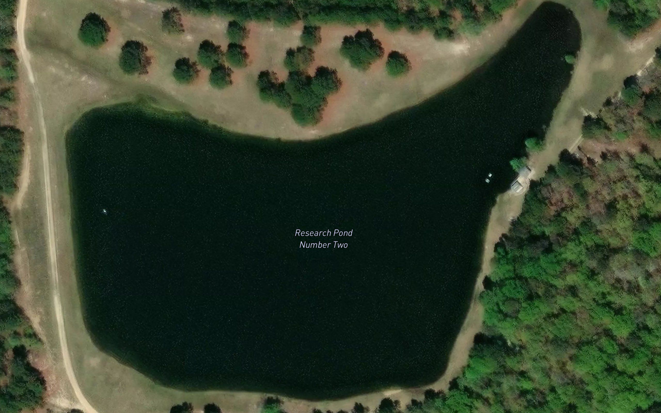 Research Pond Number Two