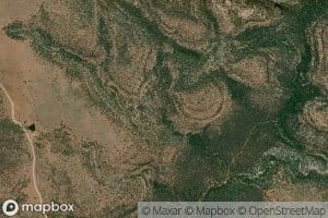 Charles Williams Spring