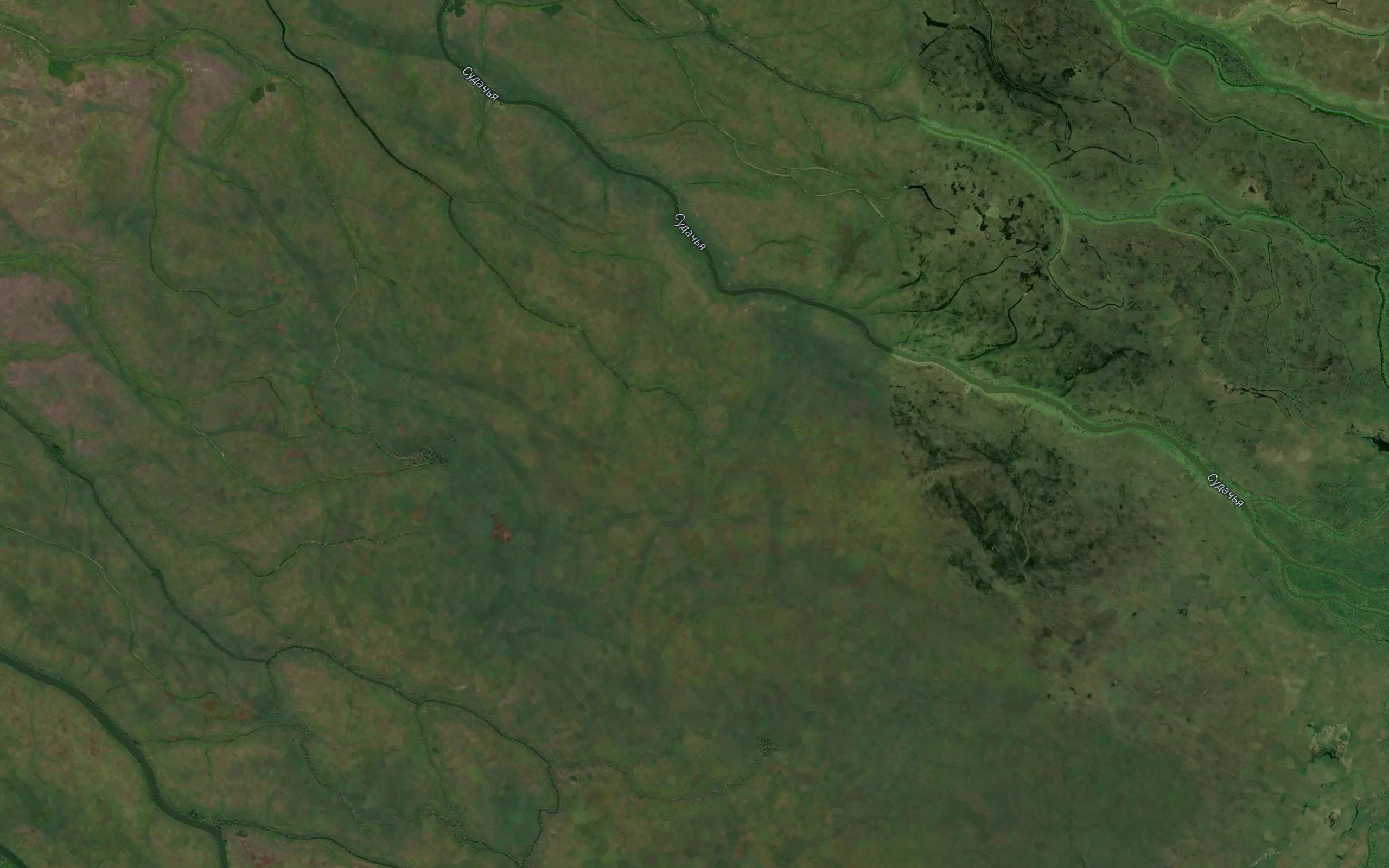Kuzovaya