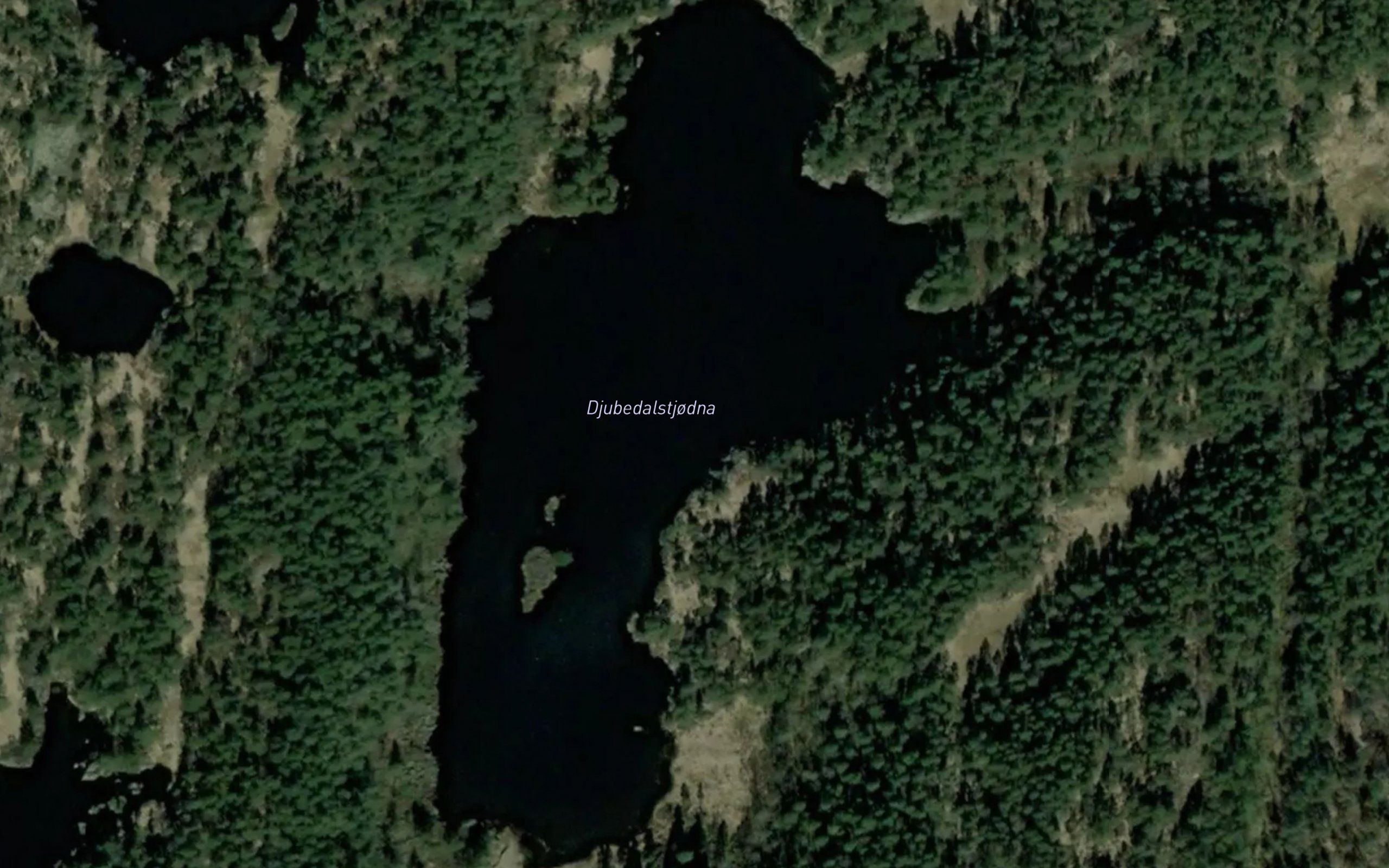 Djubedalstjodna